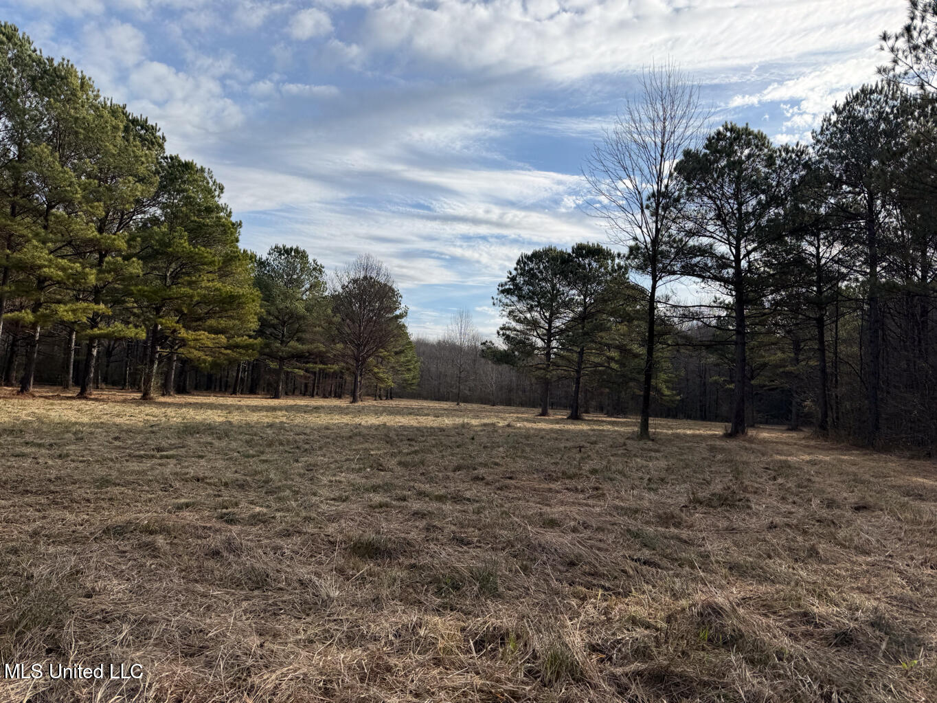 1356 Harrell Road Road Property Photo 24