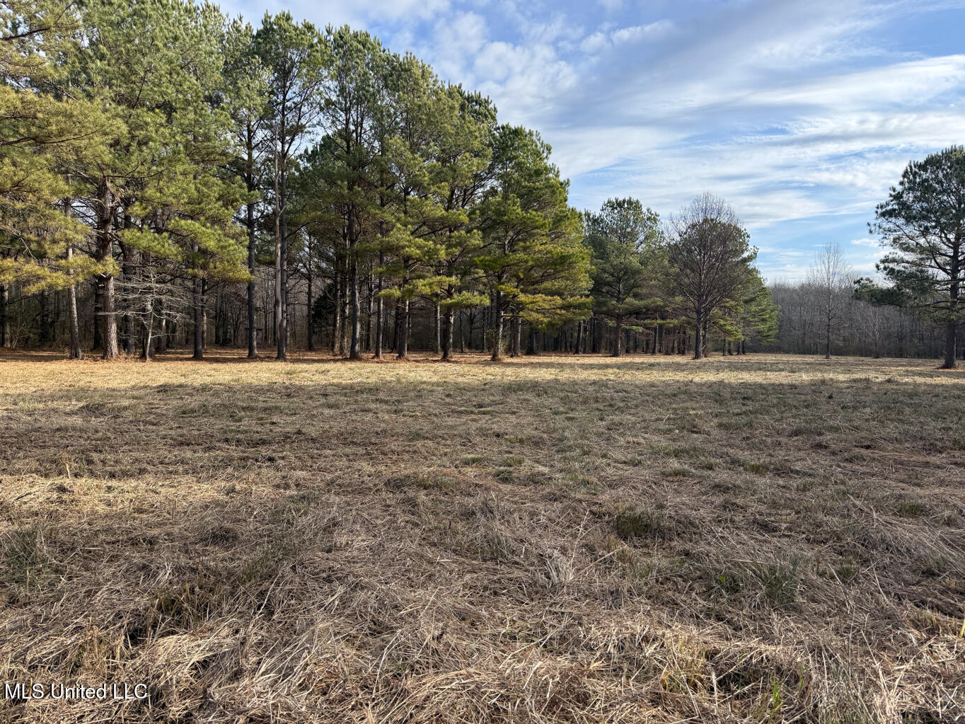 1356 Harrell Road Road Property Photo 25
