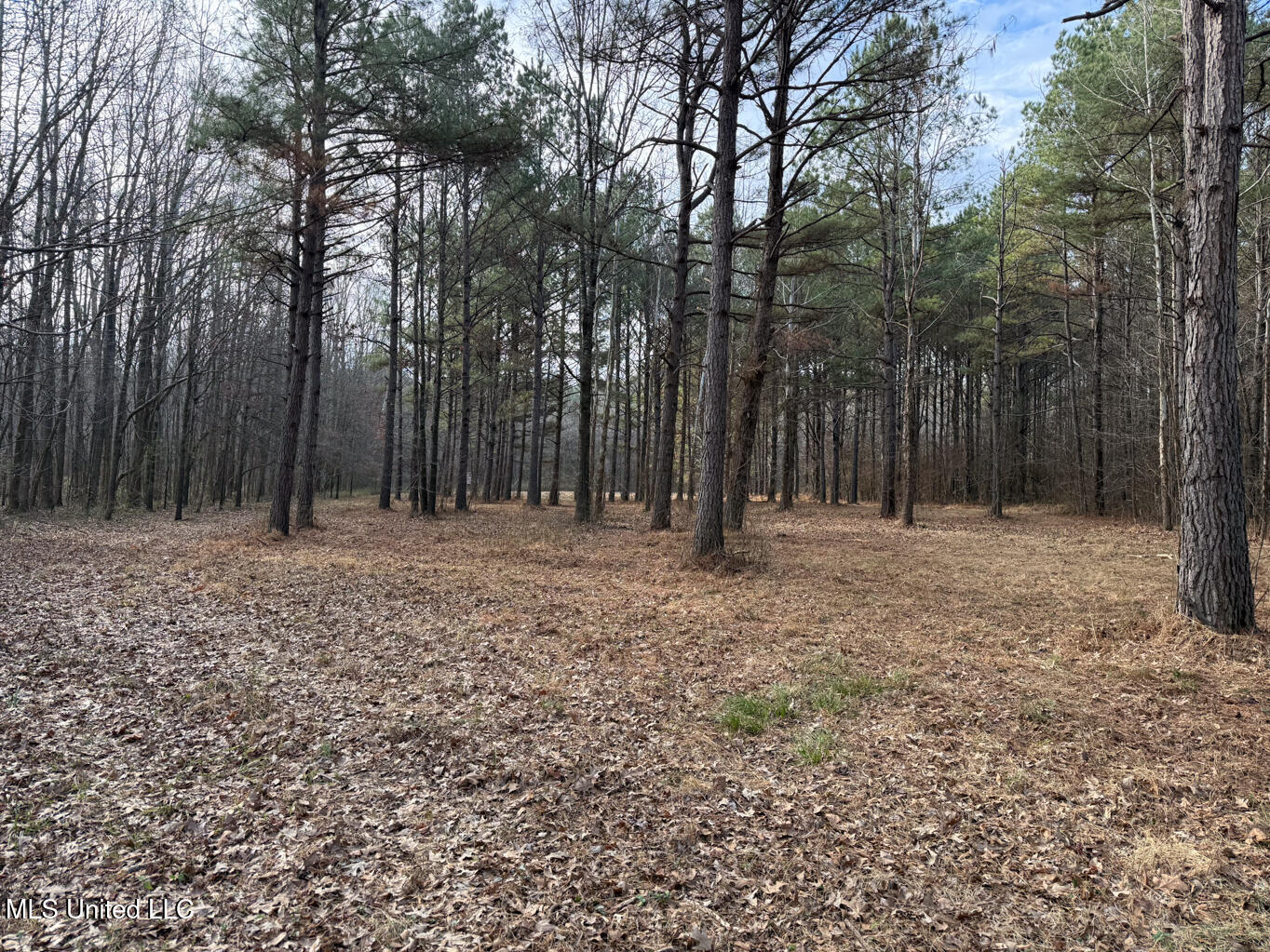 1356 Harrell Road Road Property Photo 26