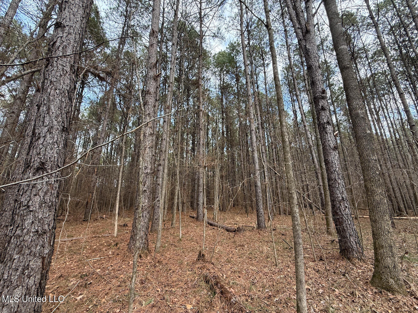 1356 Harrell Road Road Property Photo 28