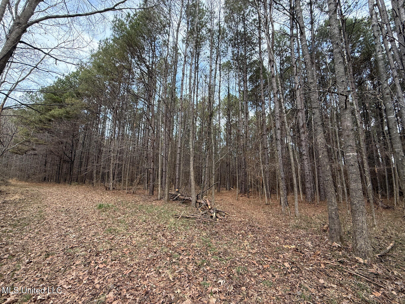 1356 Harrell Road Road Property Photo 29