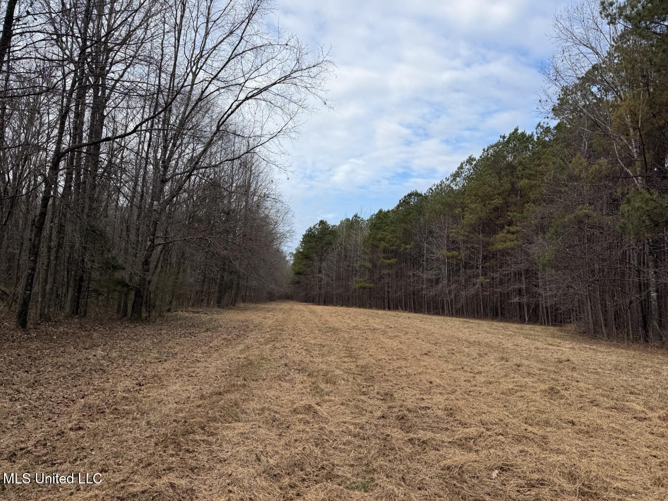 1356 Harrell Road Road Property Photo 30