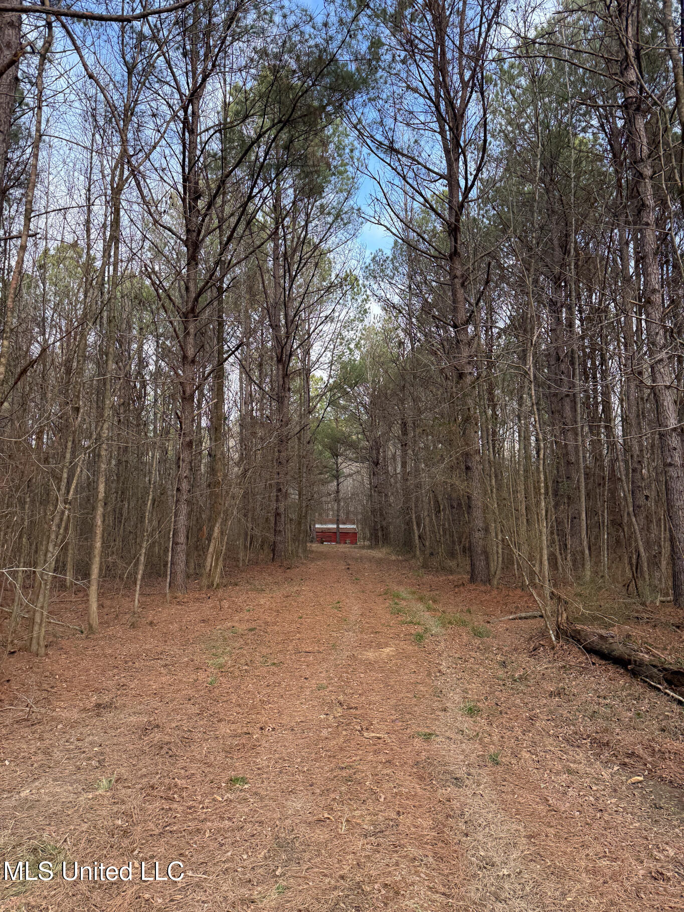 1356 Harrell Road Road Property Photo 31