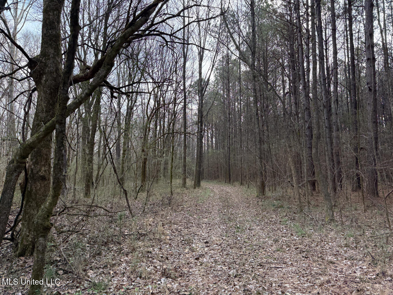 1356 Harrell Road Road Property Photo 35
