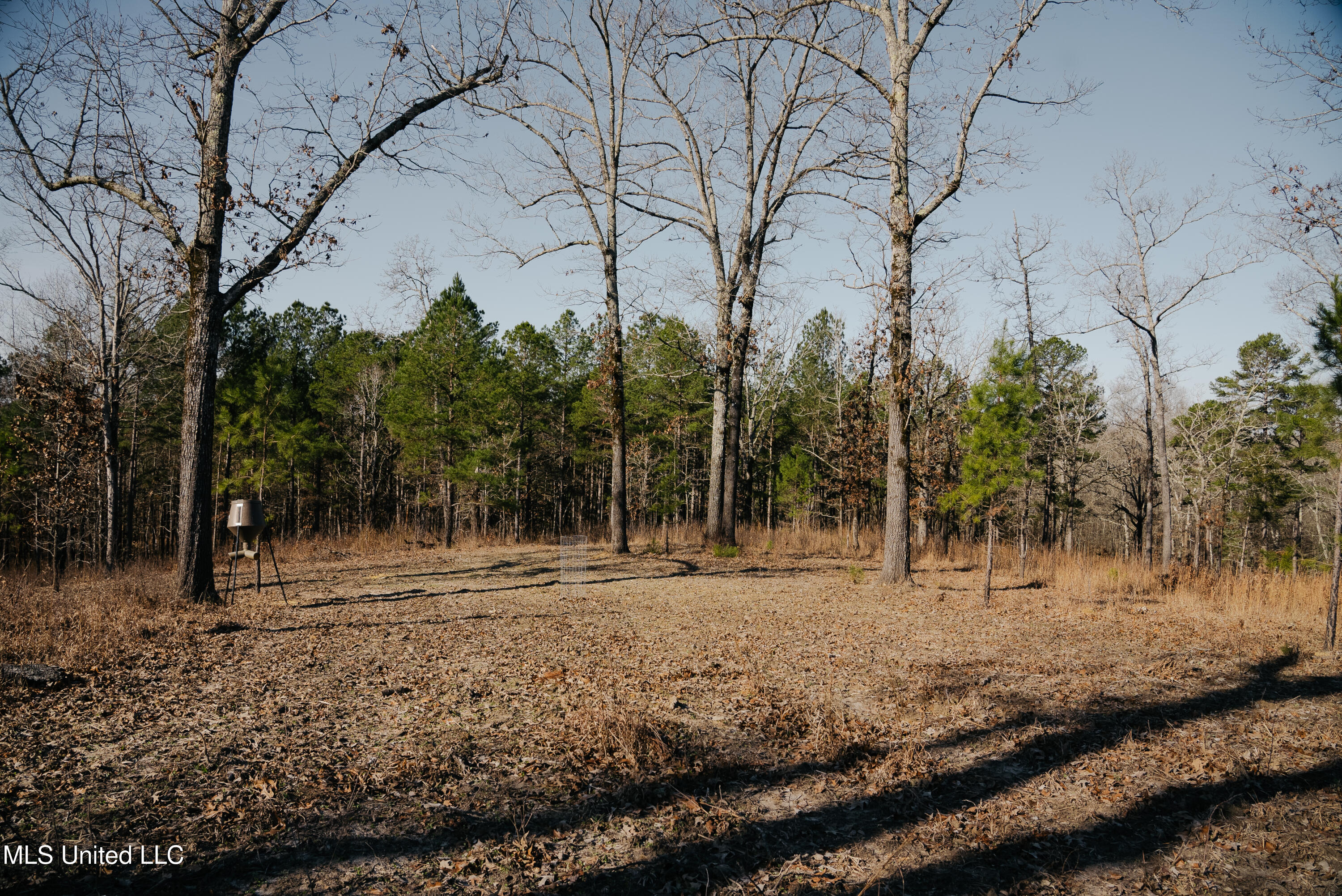 County Road 70 Property Photo 4
