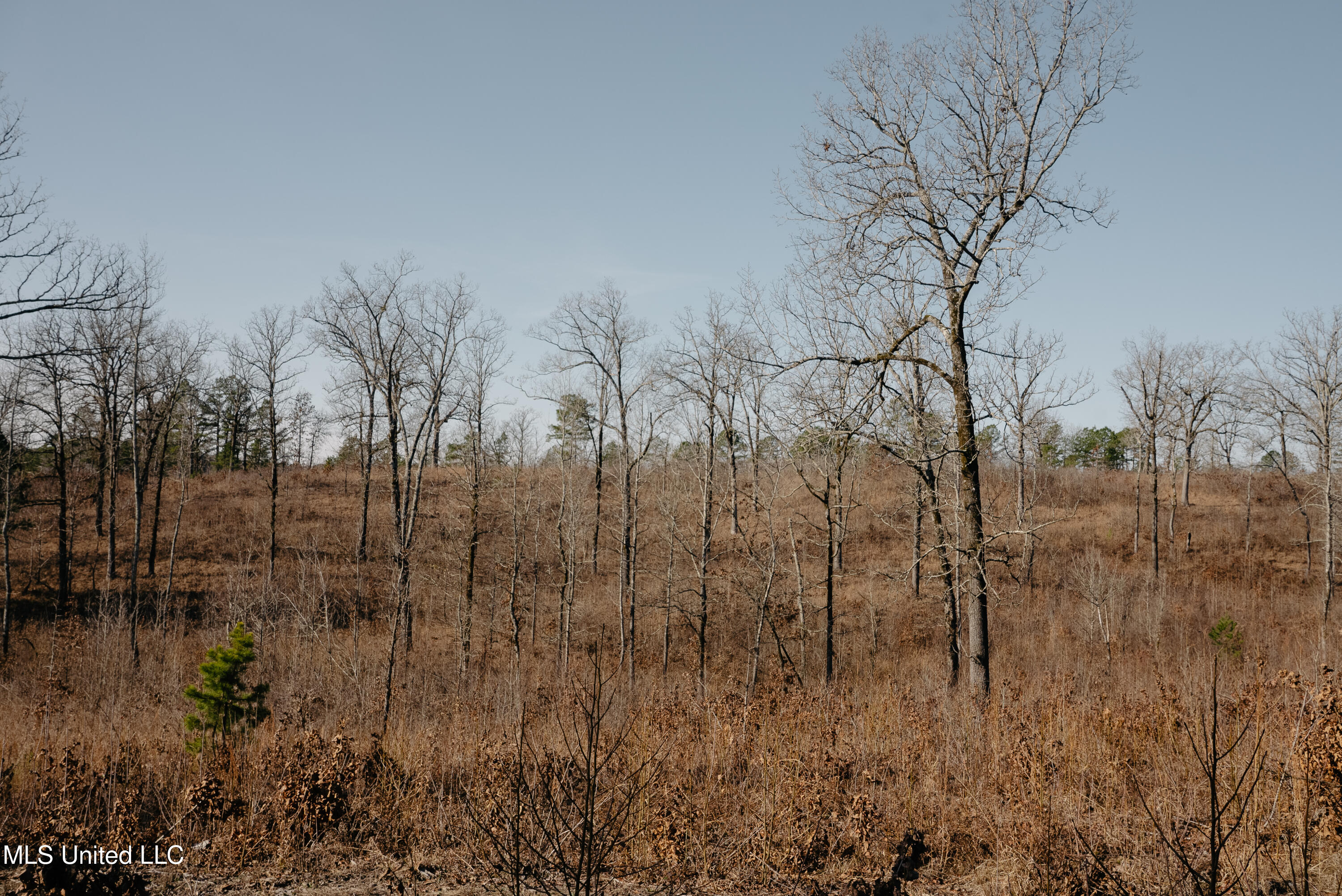 County Road 70 Property Photo 5