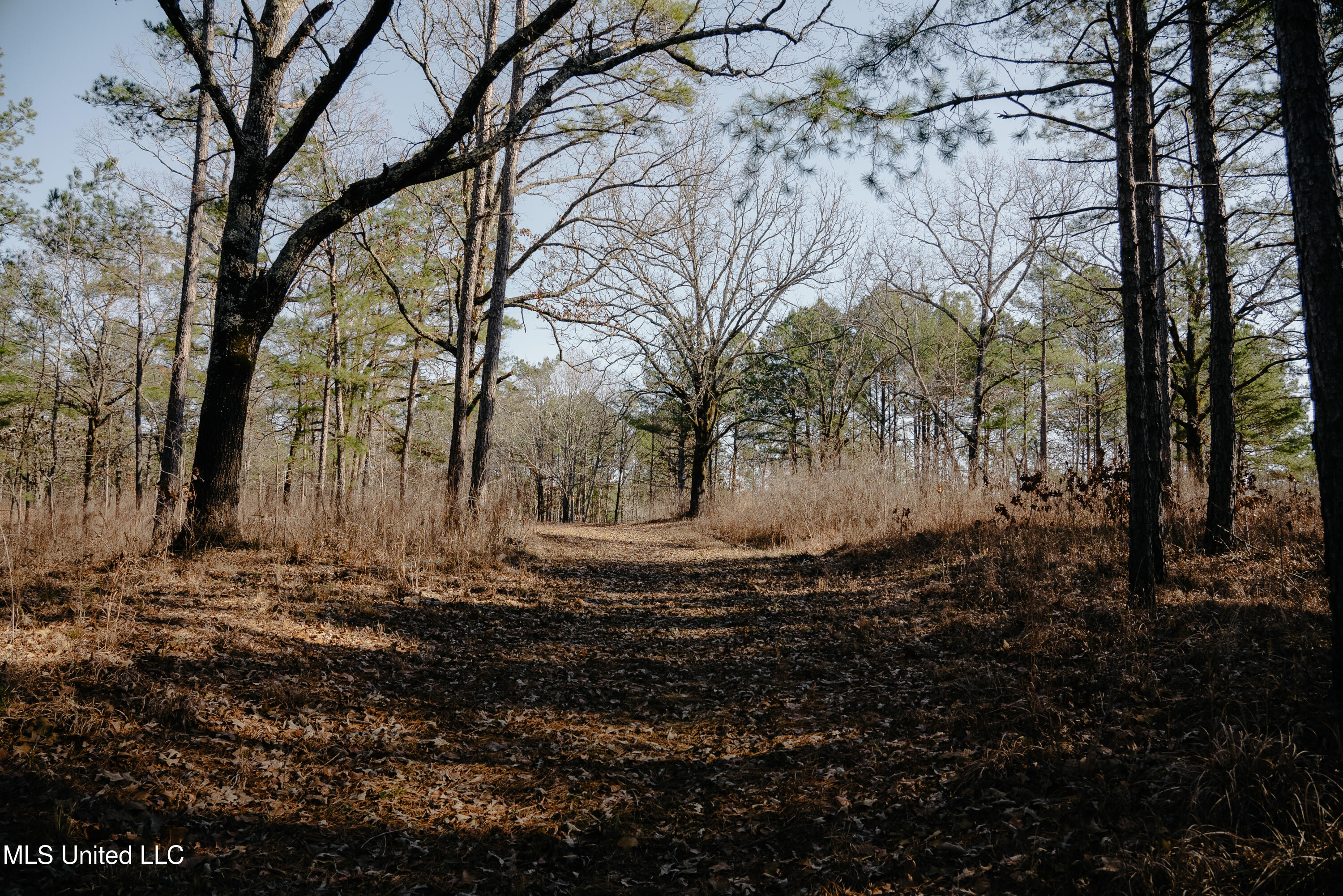 County Road 70 Property Photo 18