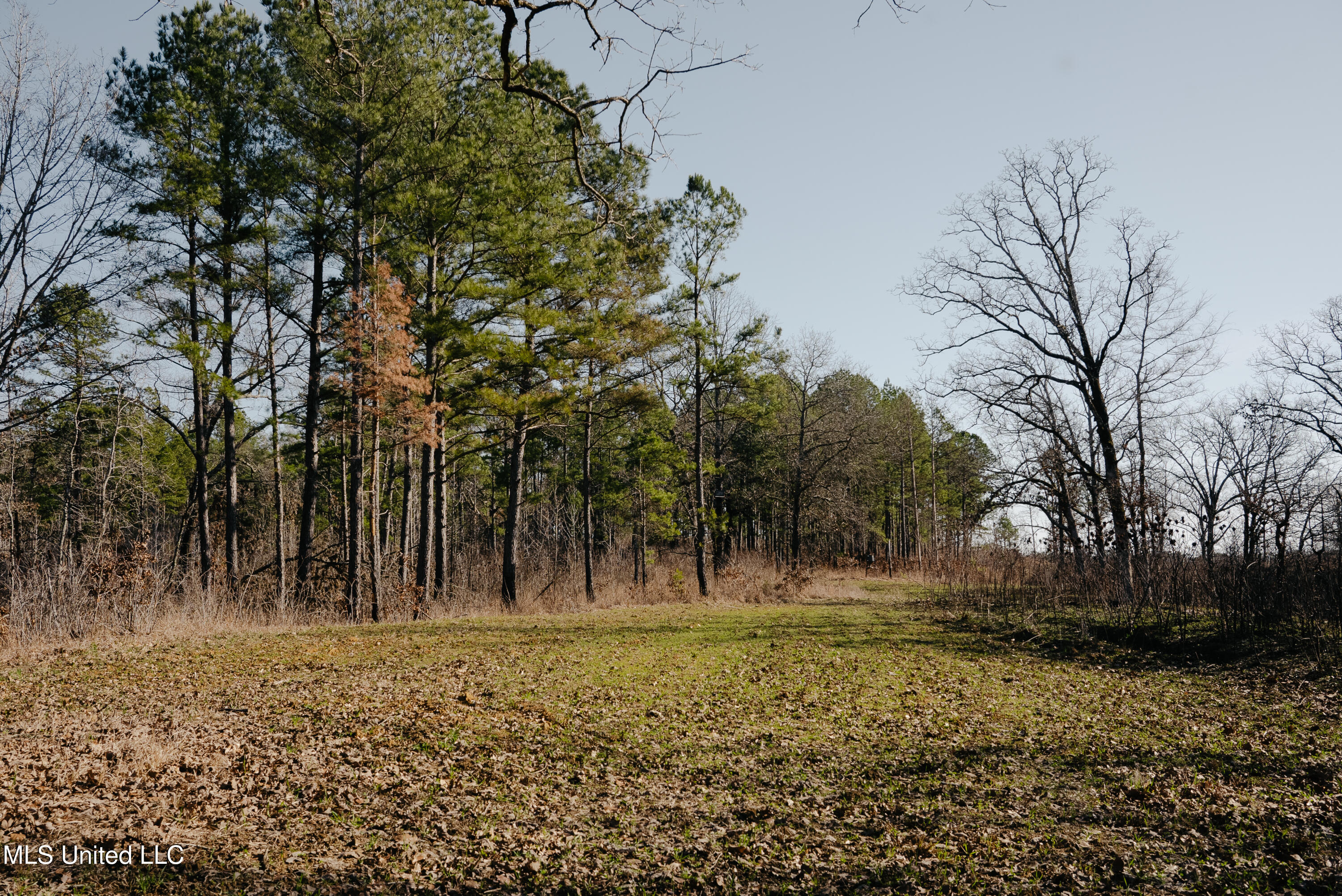 County Road 70 Property Photo 20