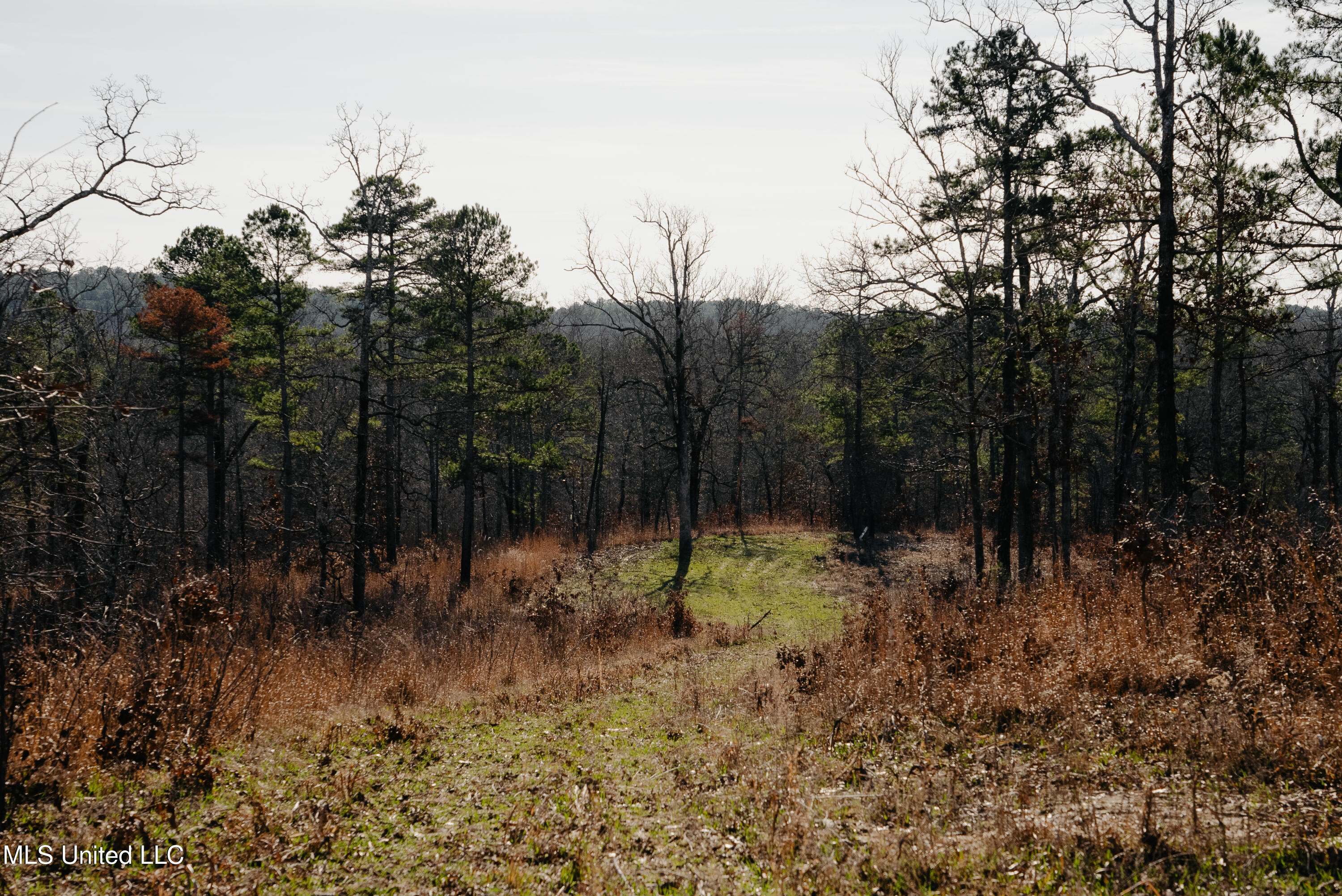 County Road 70 Property Photo 26