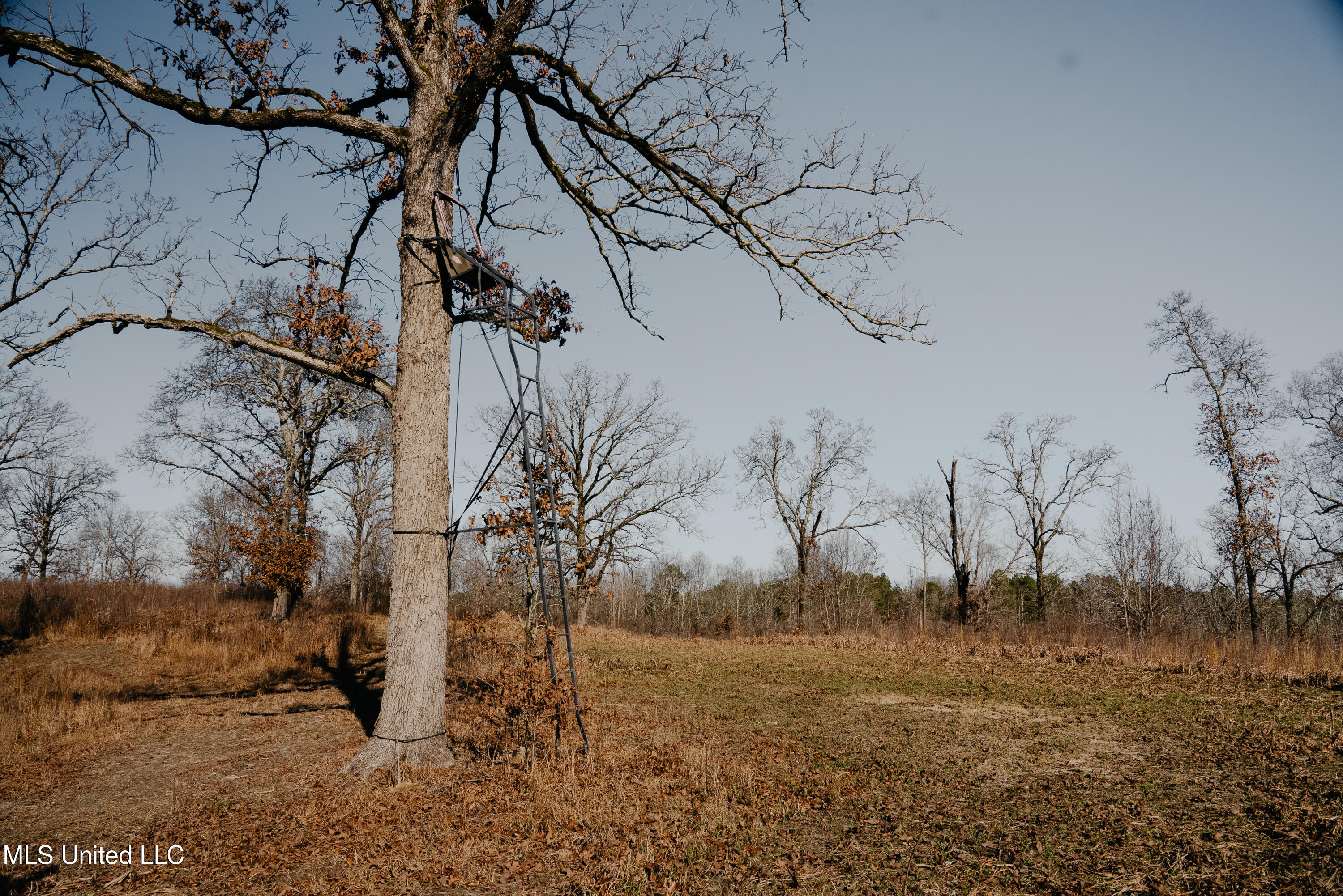 County Road 70 Property Photo 27