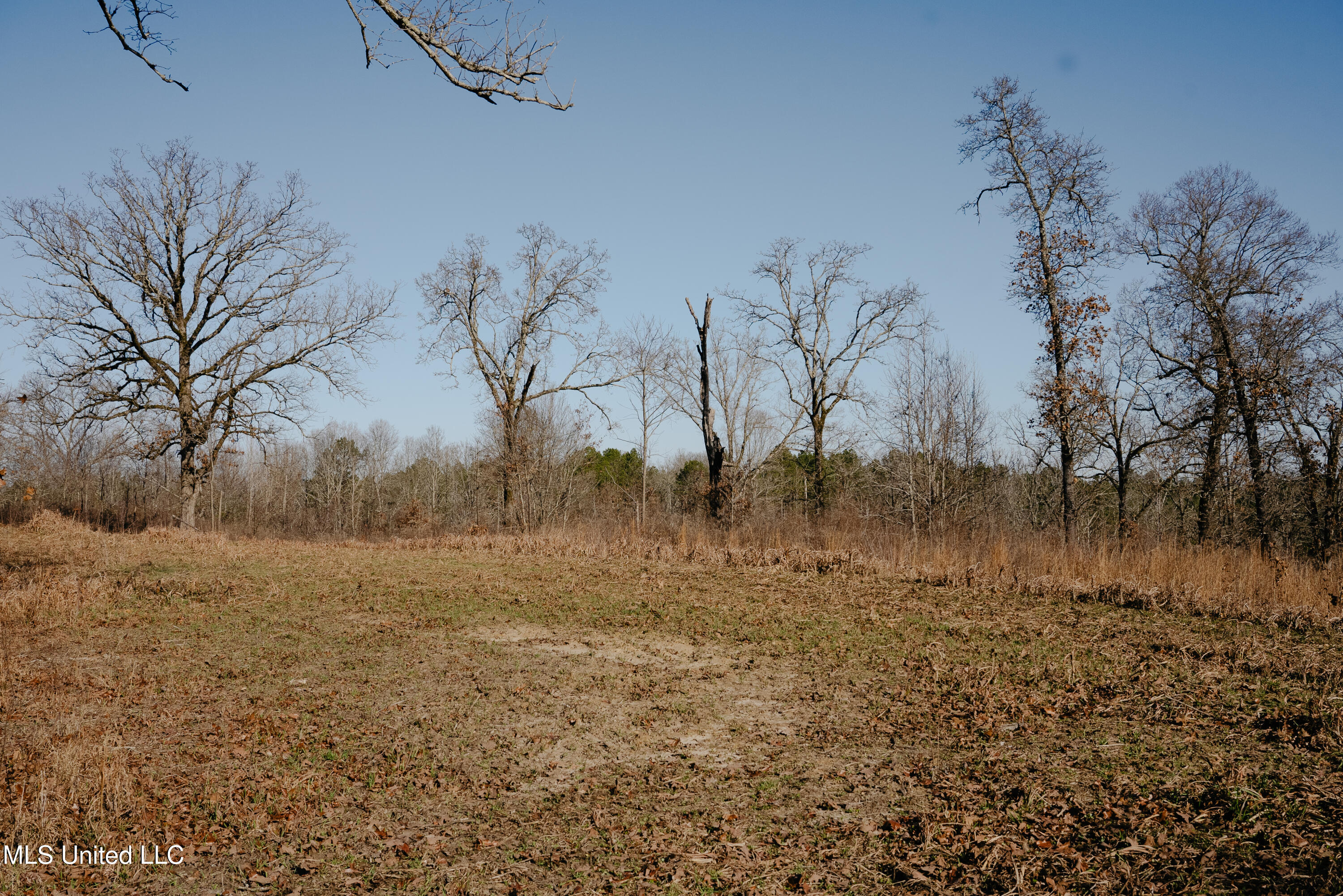 County Road 70 Property Photo 28
