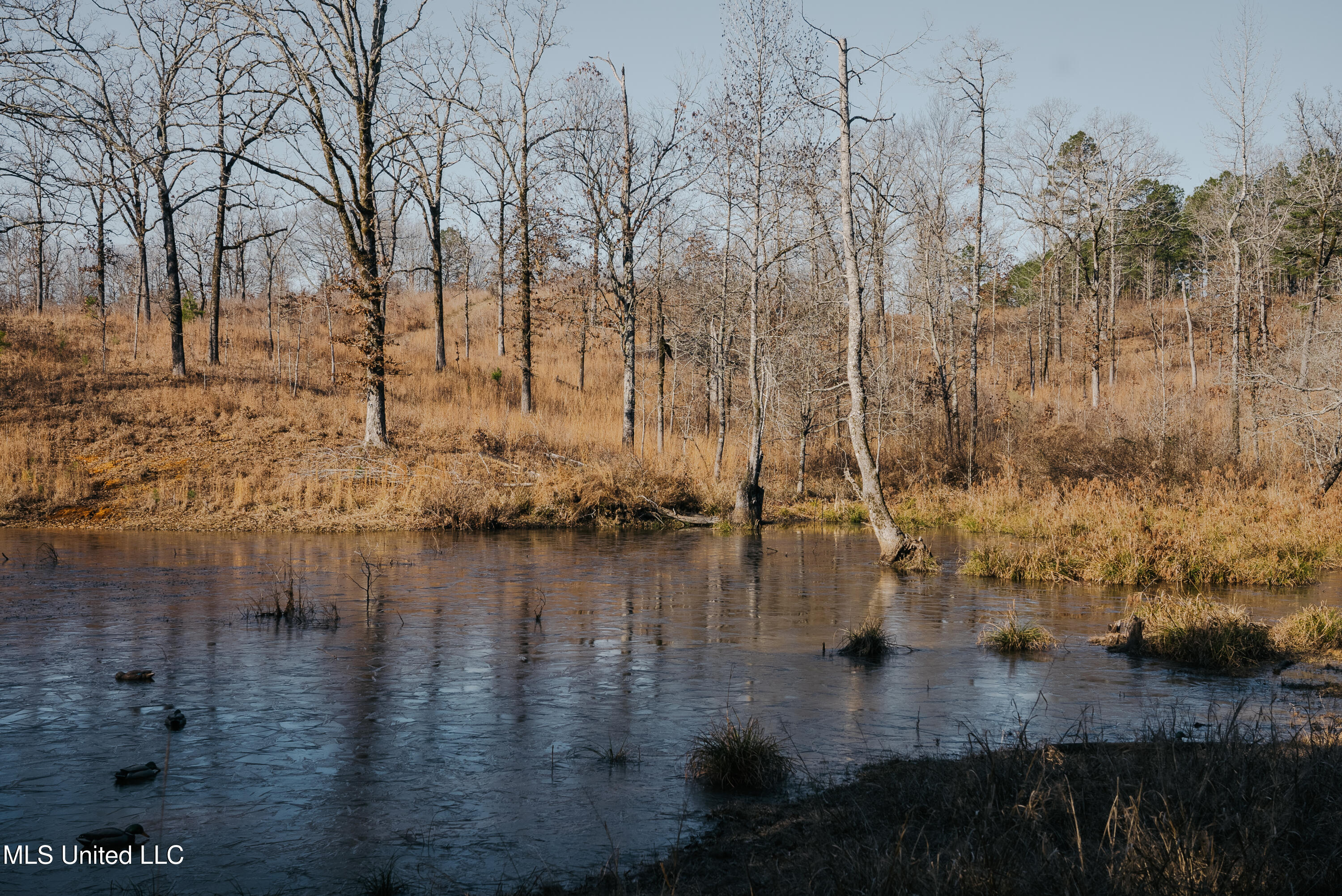 County Road 70 Property Photo 29