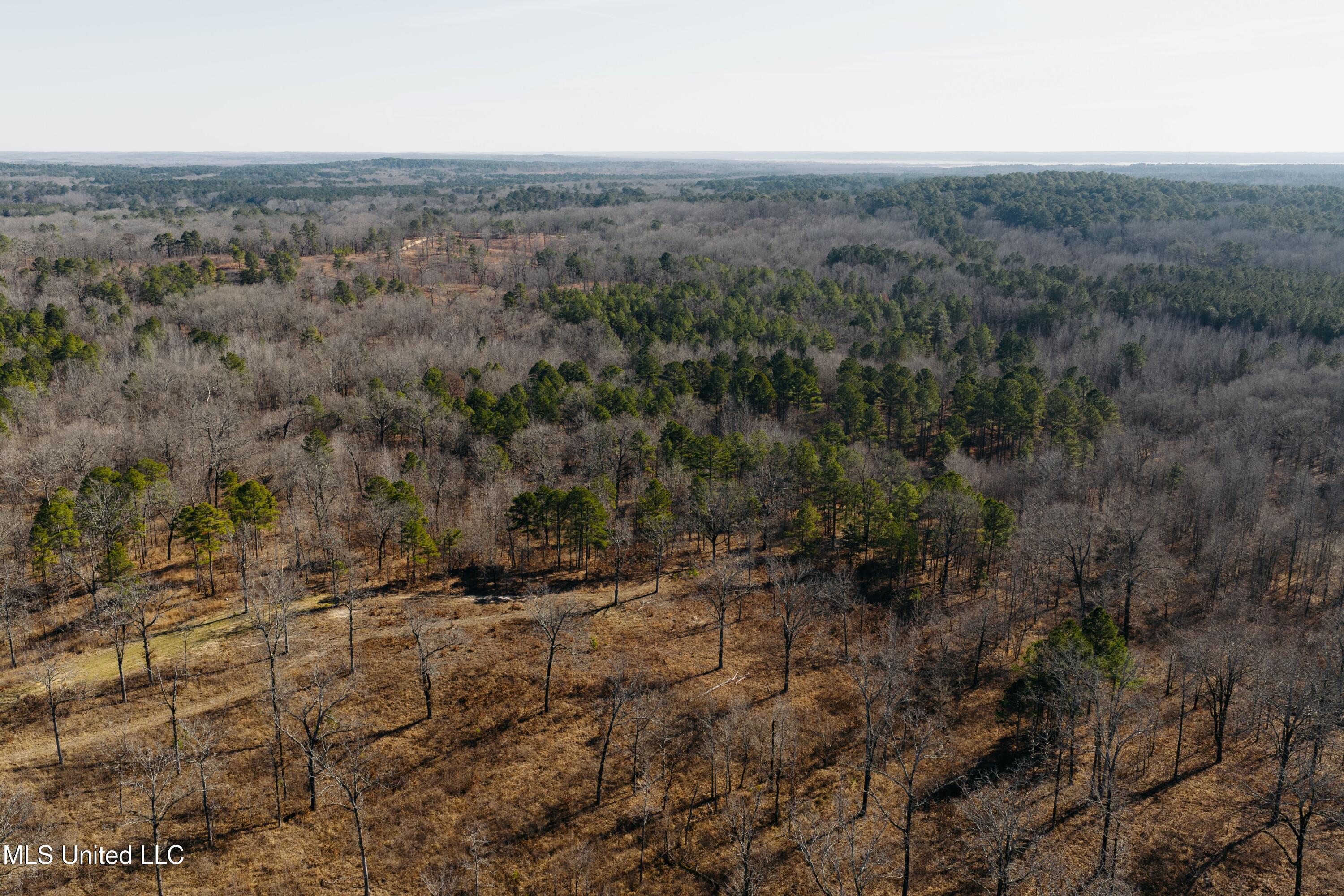 County Road 70 Property Photo 37