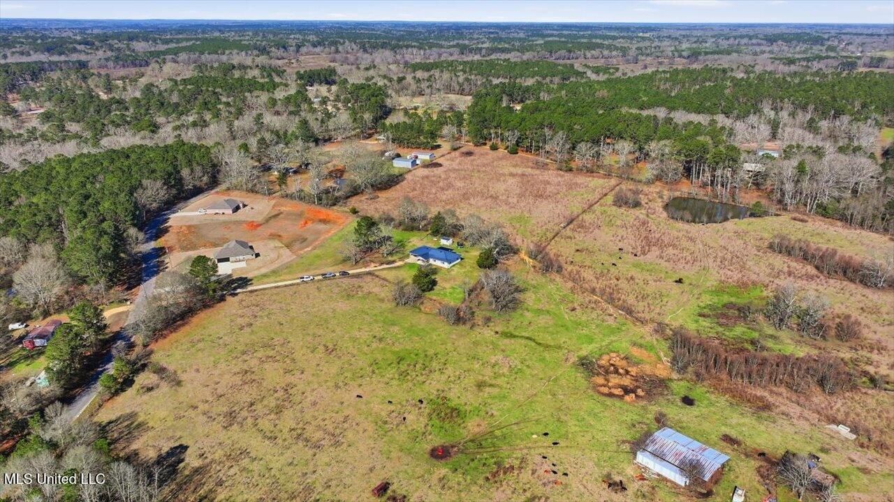 144 Walter Jones Road Property Photo 56