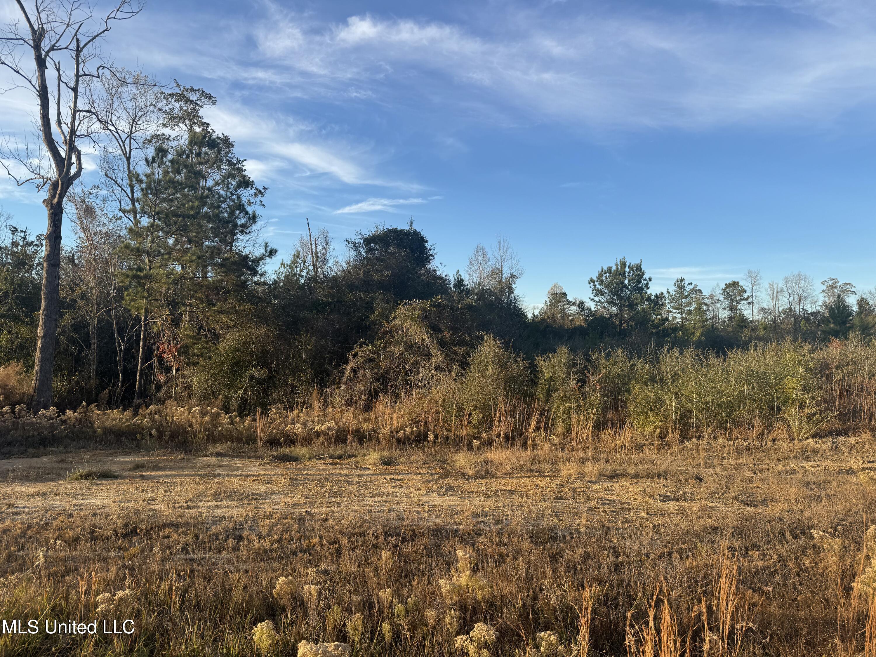 15 Acres Parker Road Property Photo 1