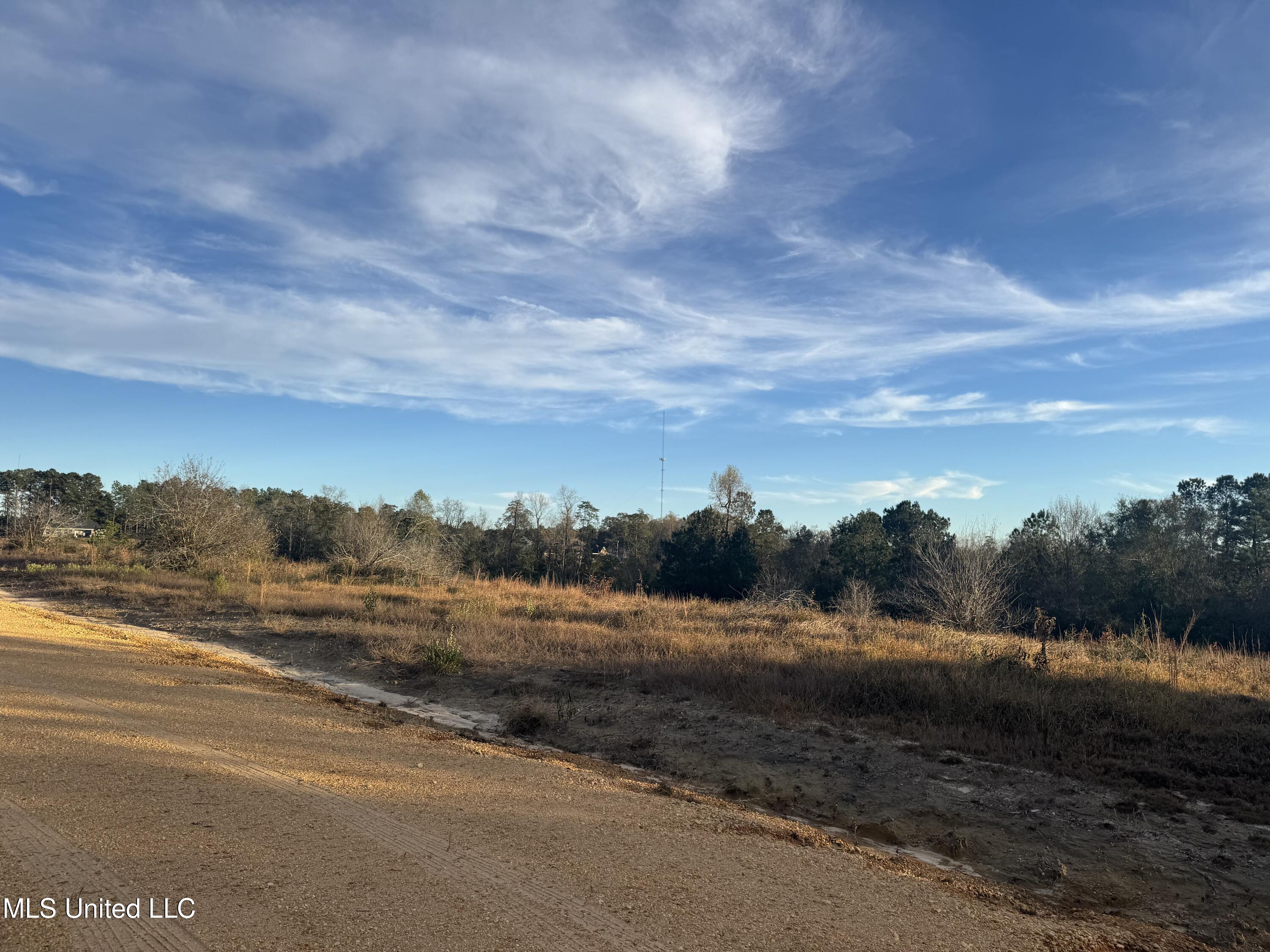 15 Acres Parker Road Property Photo 2