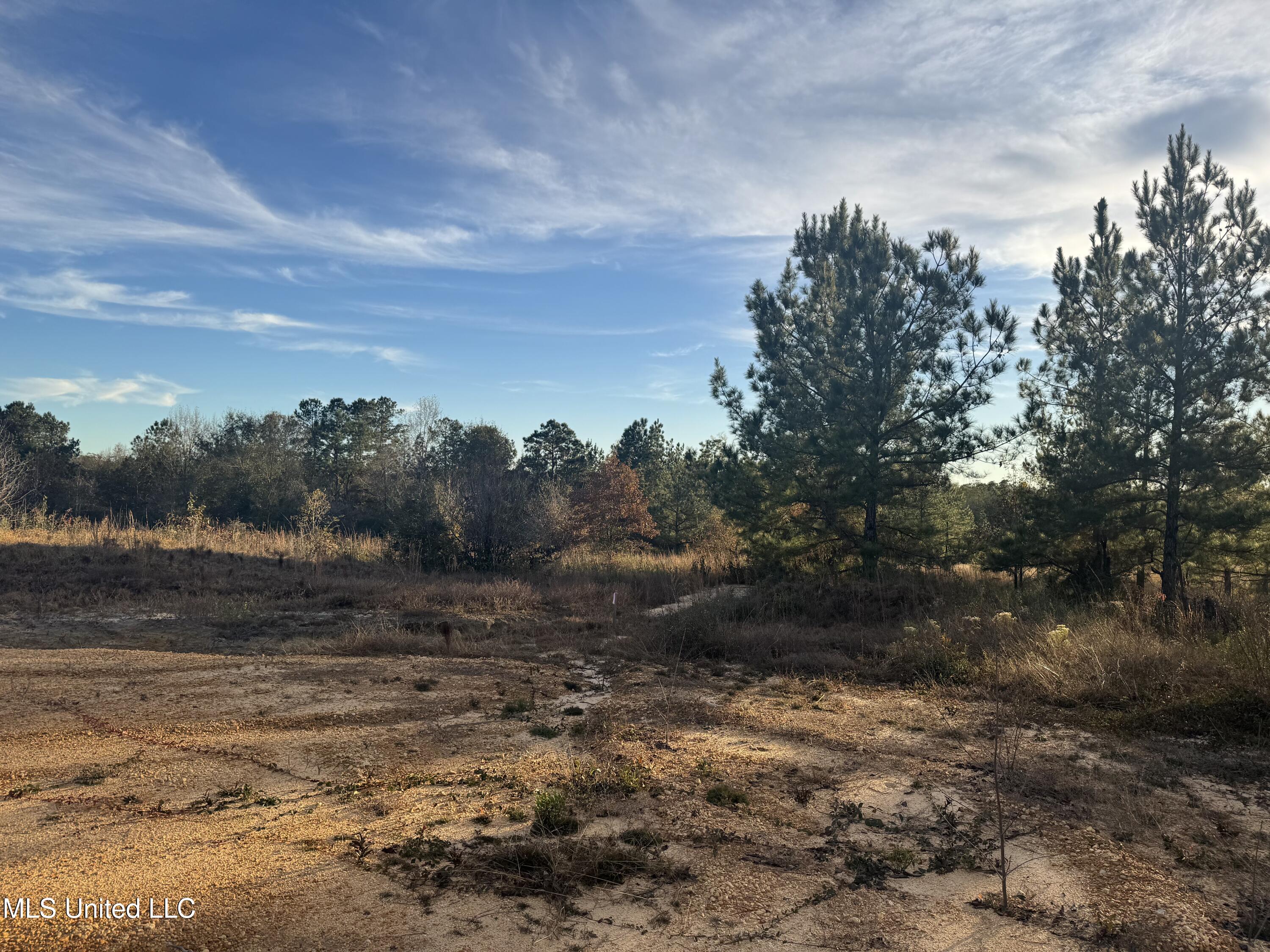 15 Acres Parker Road Property Photo 3