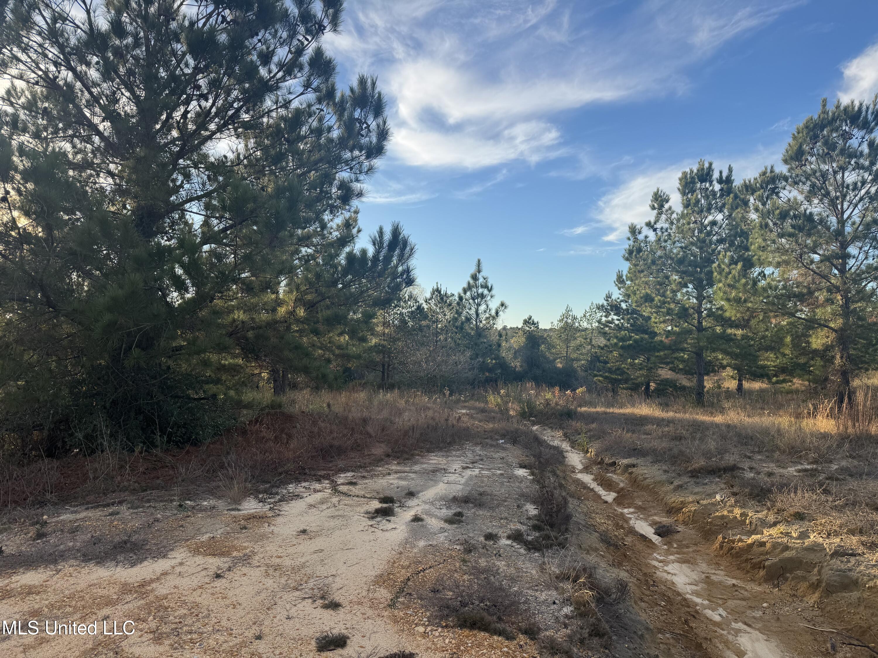 15 Acres Parker Road Property Photo 4