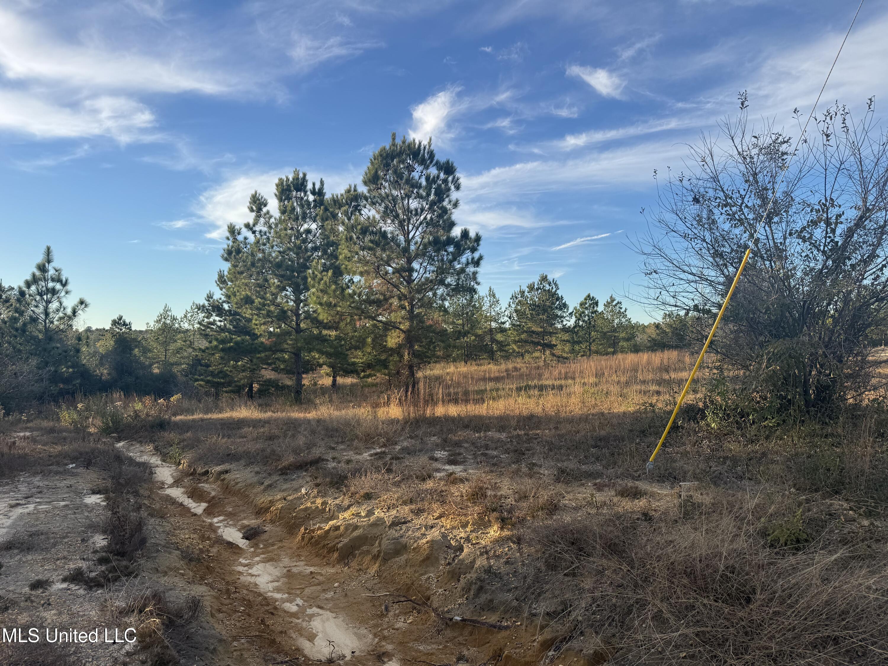 15 Acres Parker Road Property Photo 5