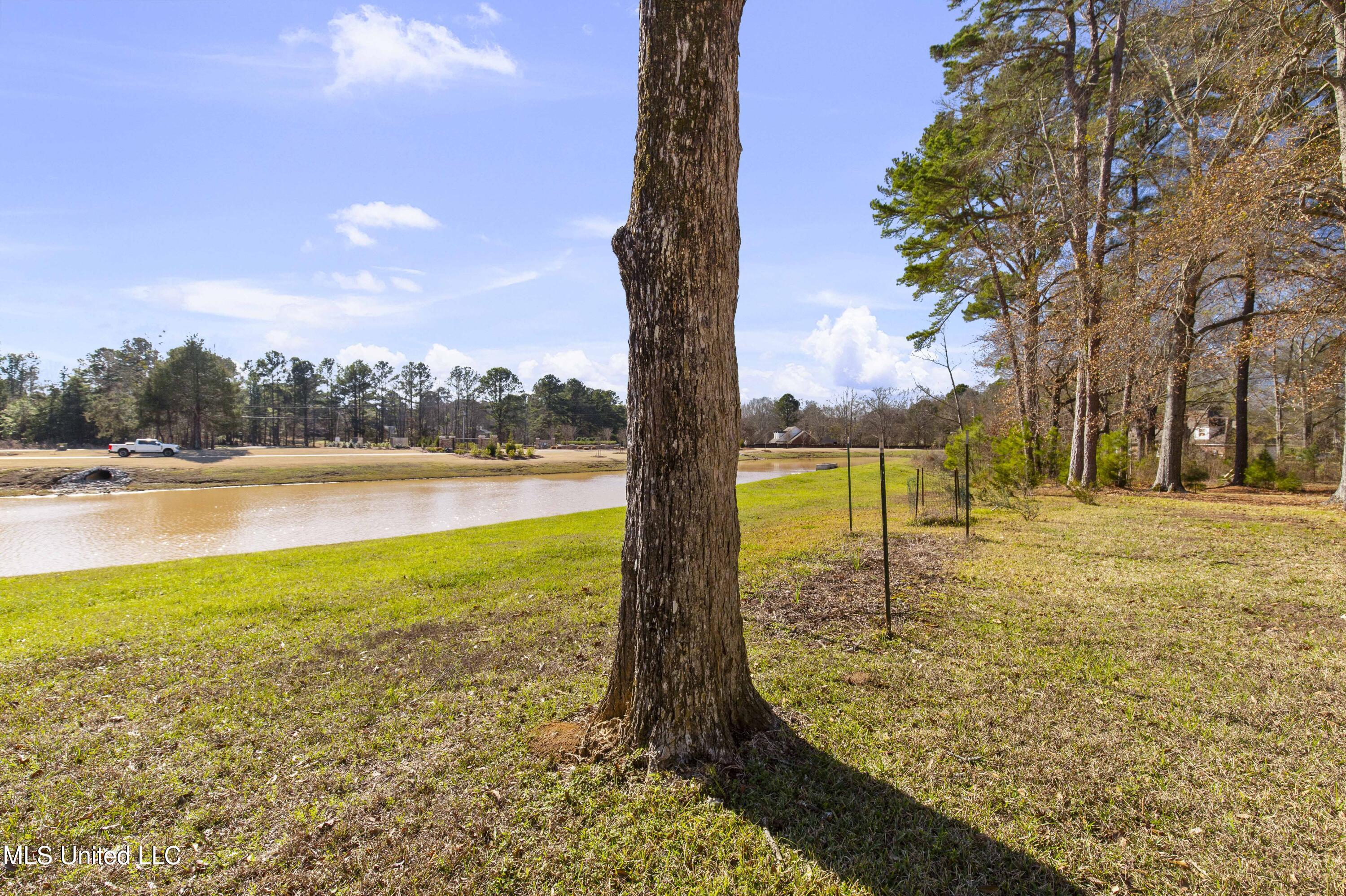 102 Creekwood Drive Property Photo 72