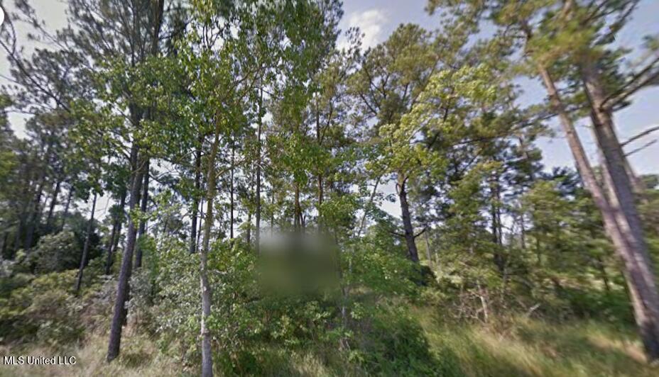 0 Clay Street Property Photo 3