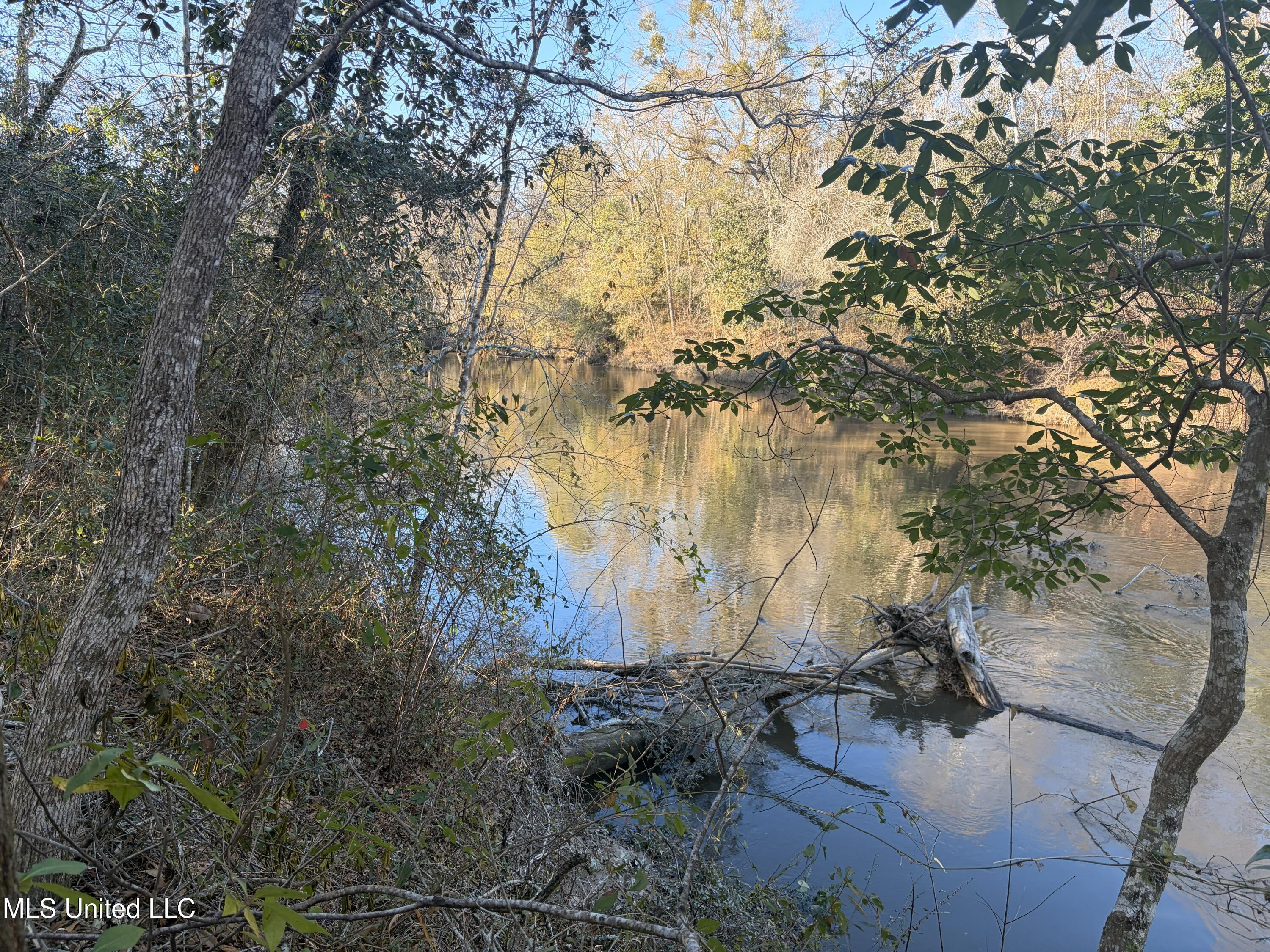 Nhn River Road Property Photo 7