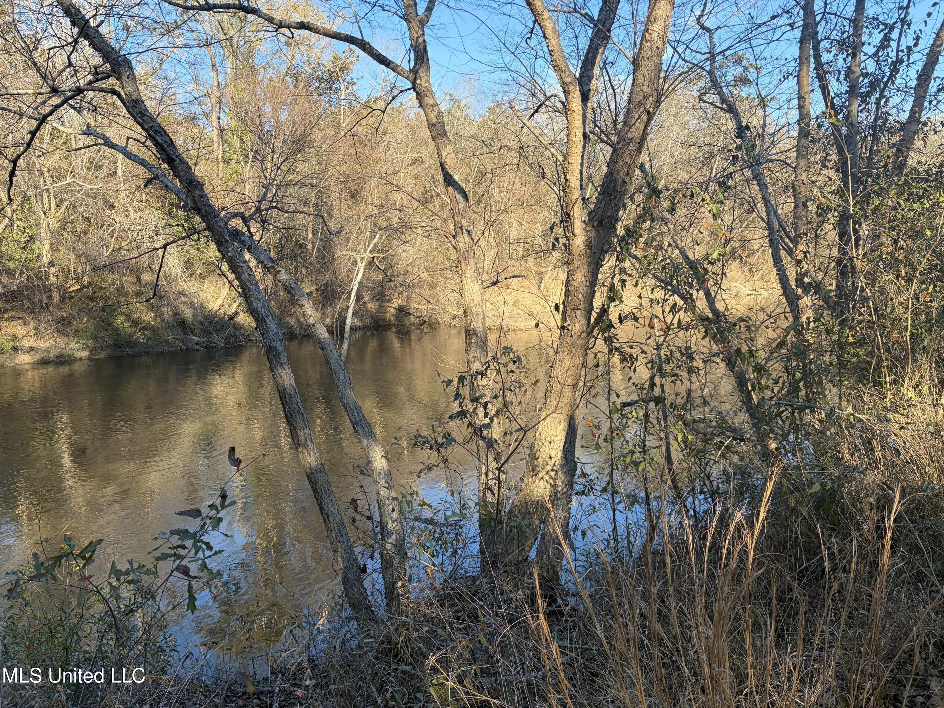 Nhn River Road Property Photo 8