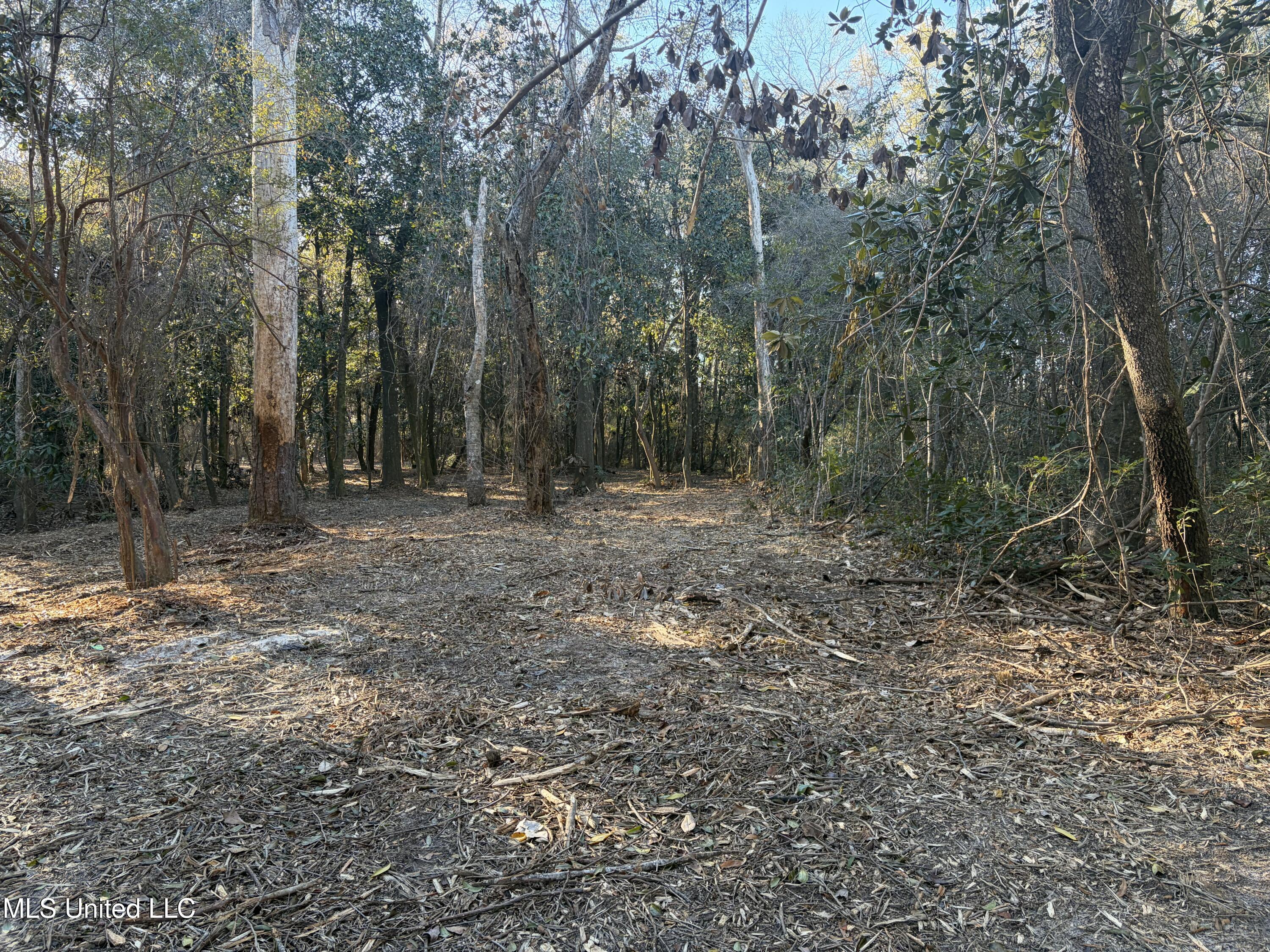 Nhn River Road Property Photo 28