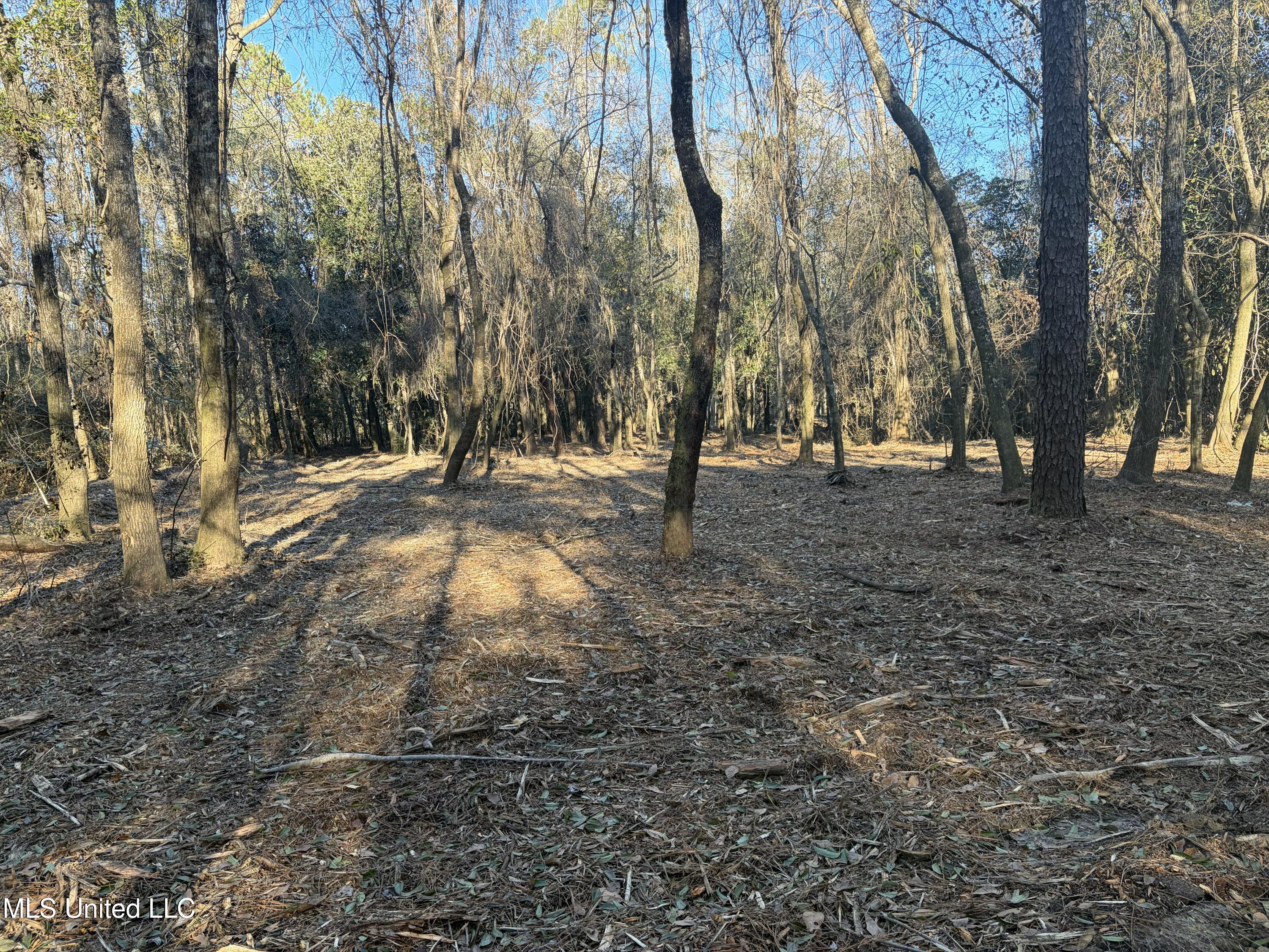 Nhn River Road Property Photo 30