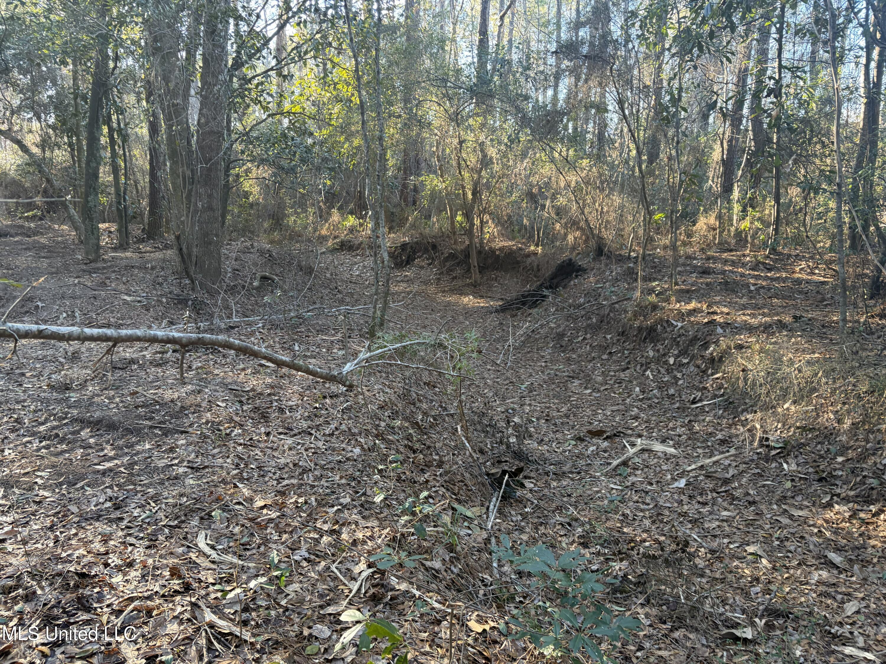 Nhn River Road Property Photo 31