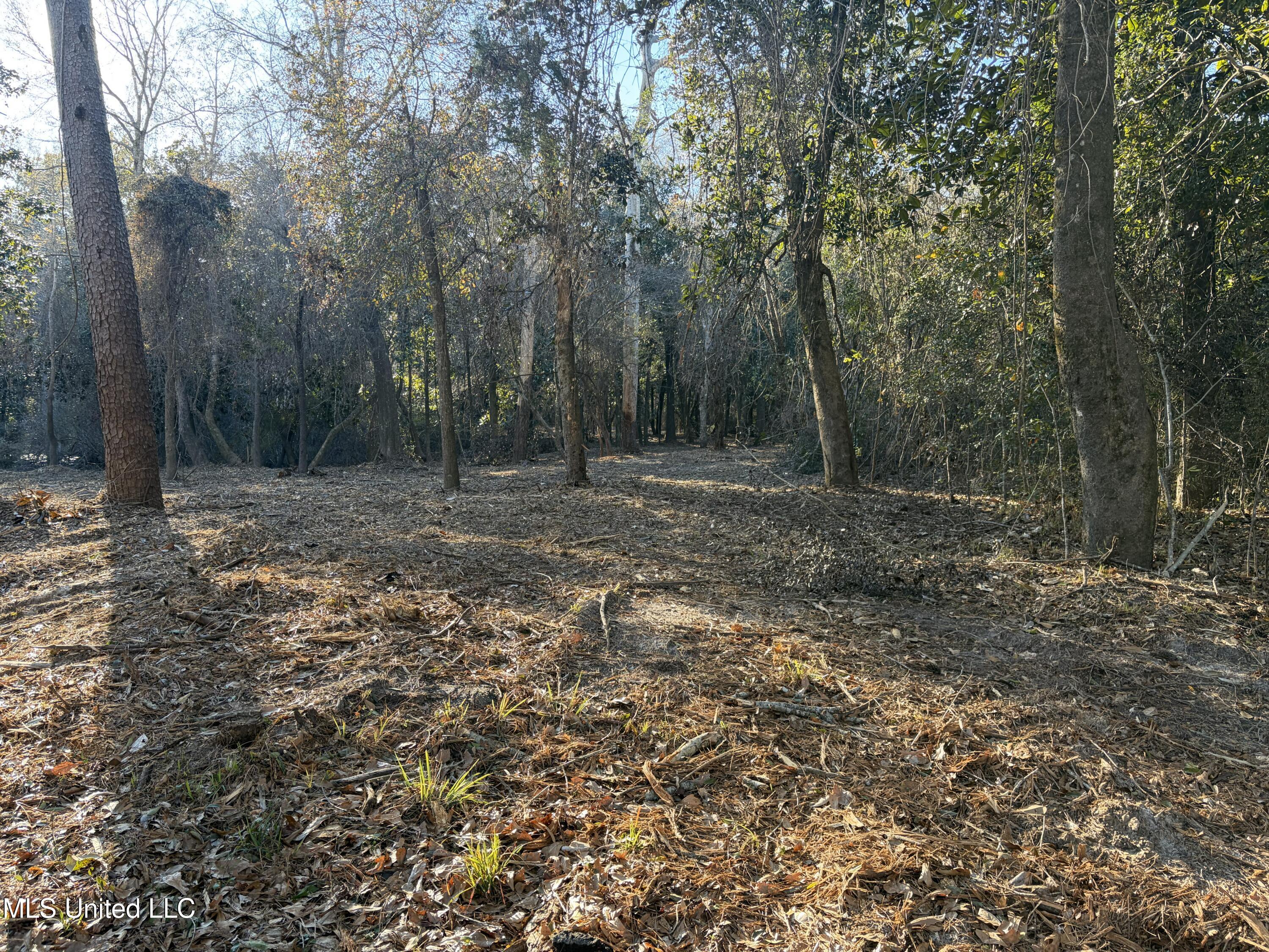 Nhn River Road Property Photo 32