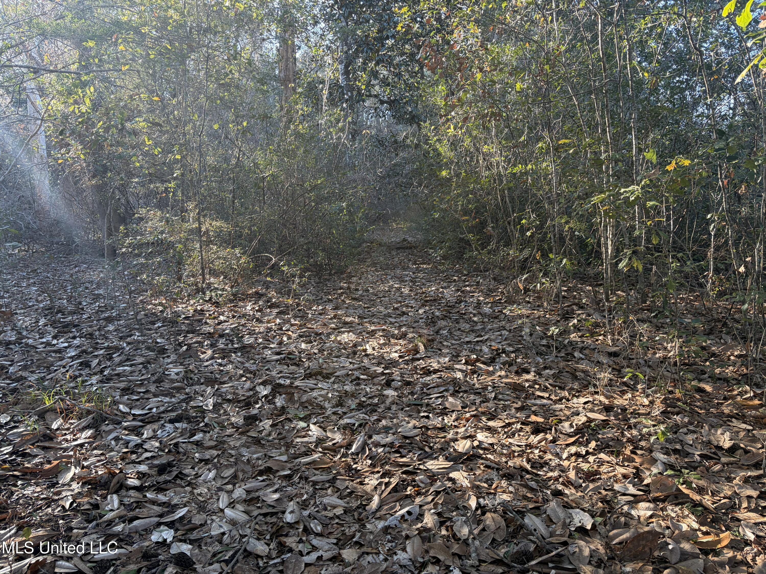 Nhn River Road Property Photo 34