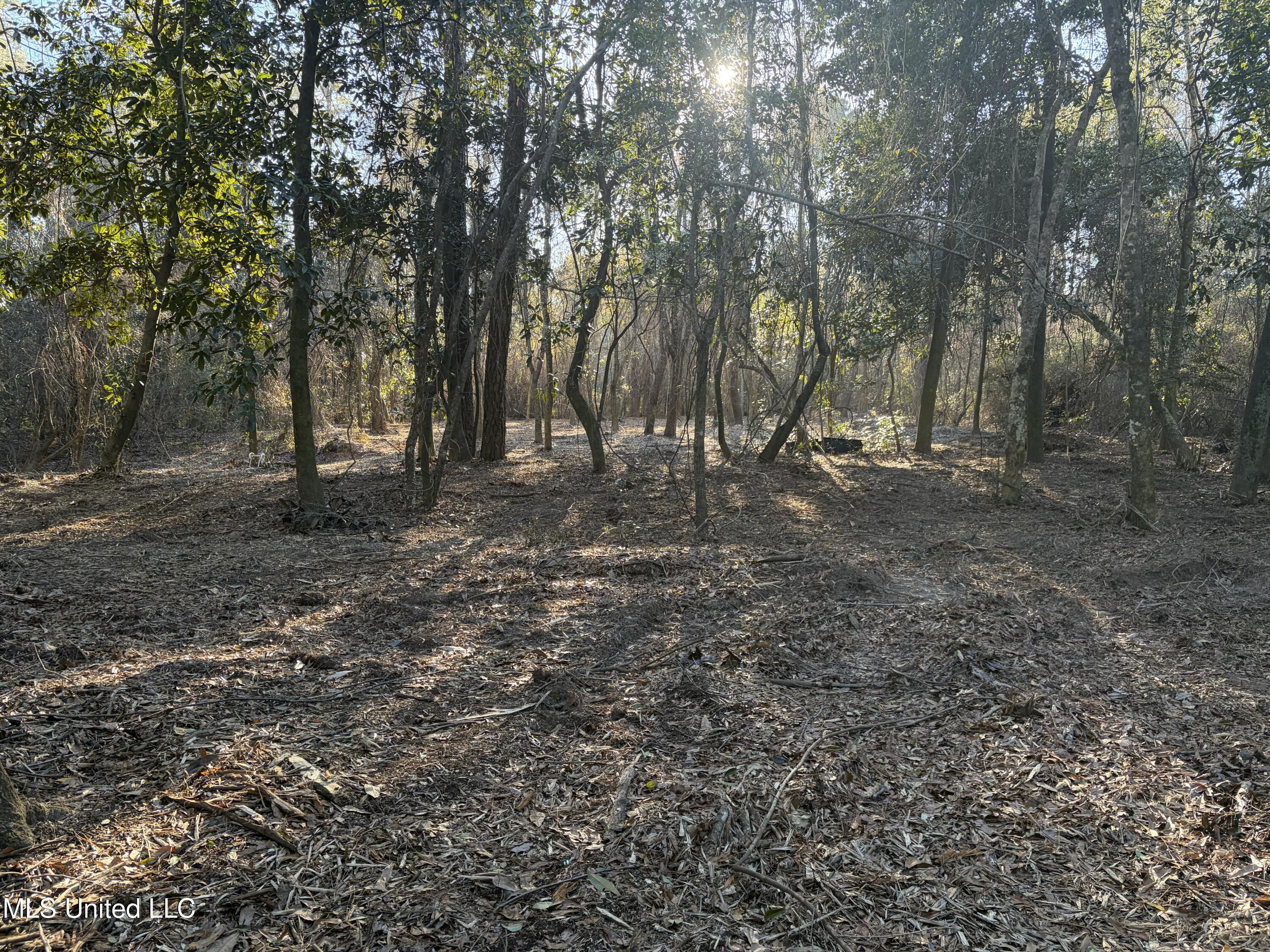 Nhn River Road Property Photo 35