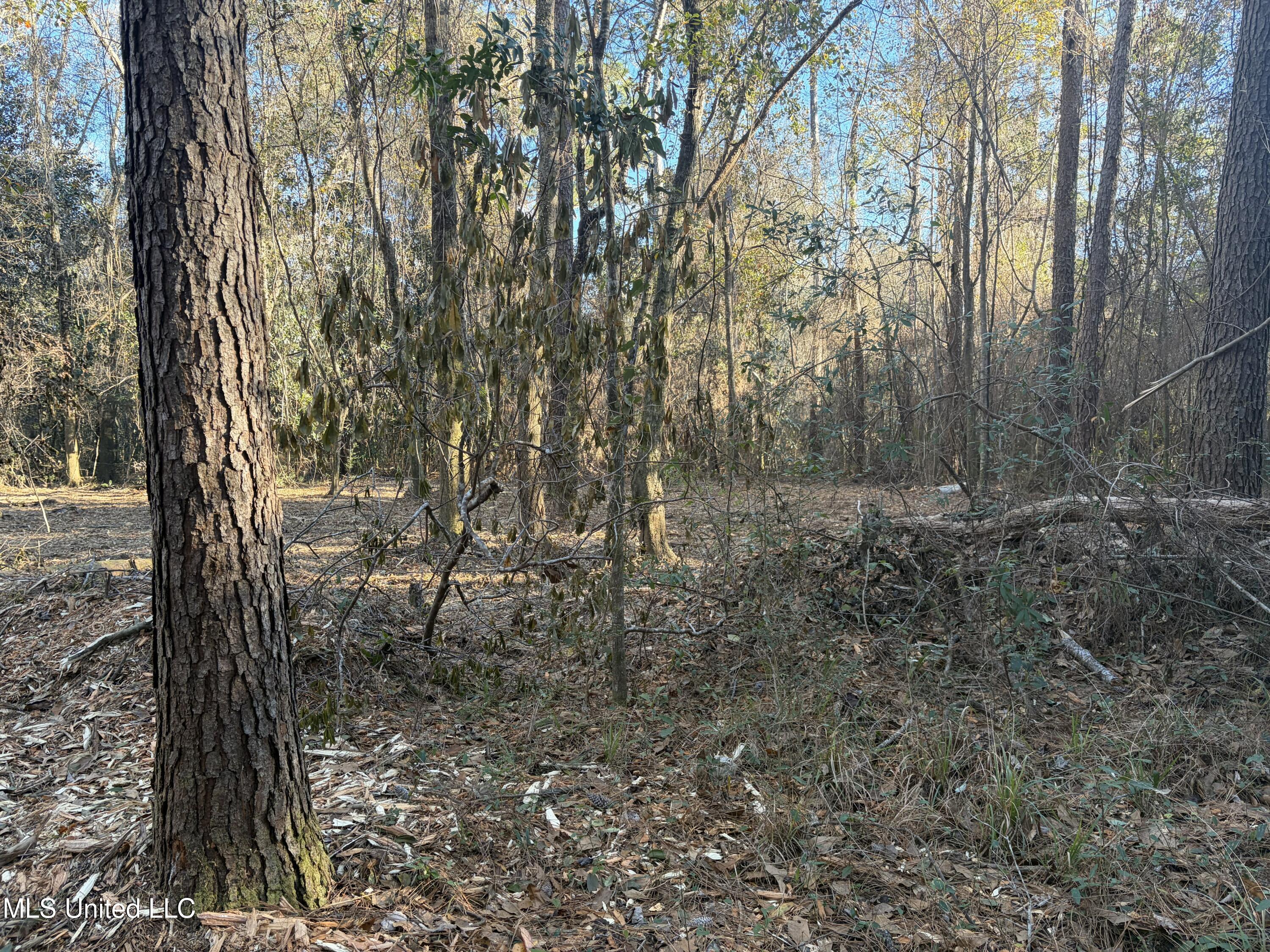 Nhn River Road Property Photo 36
