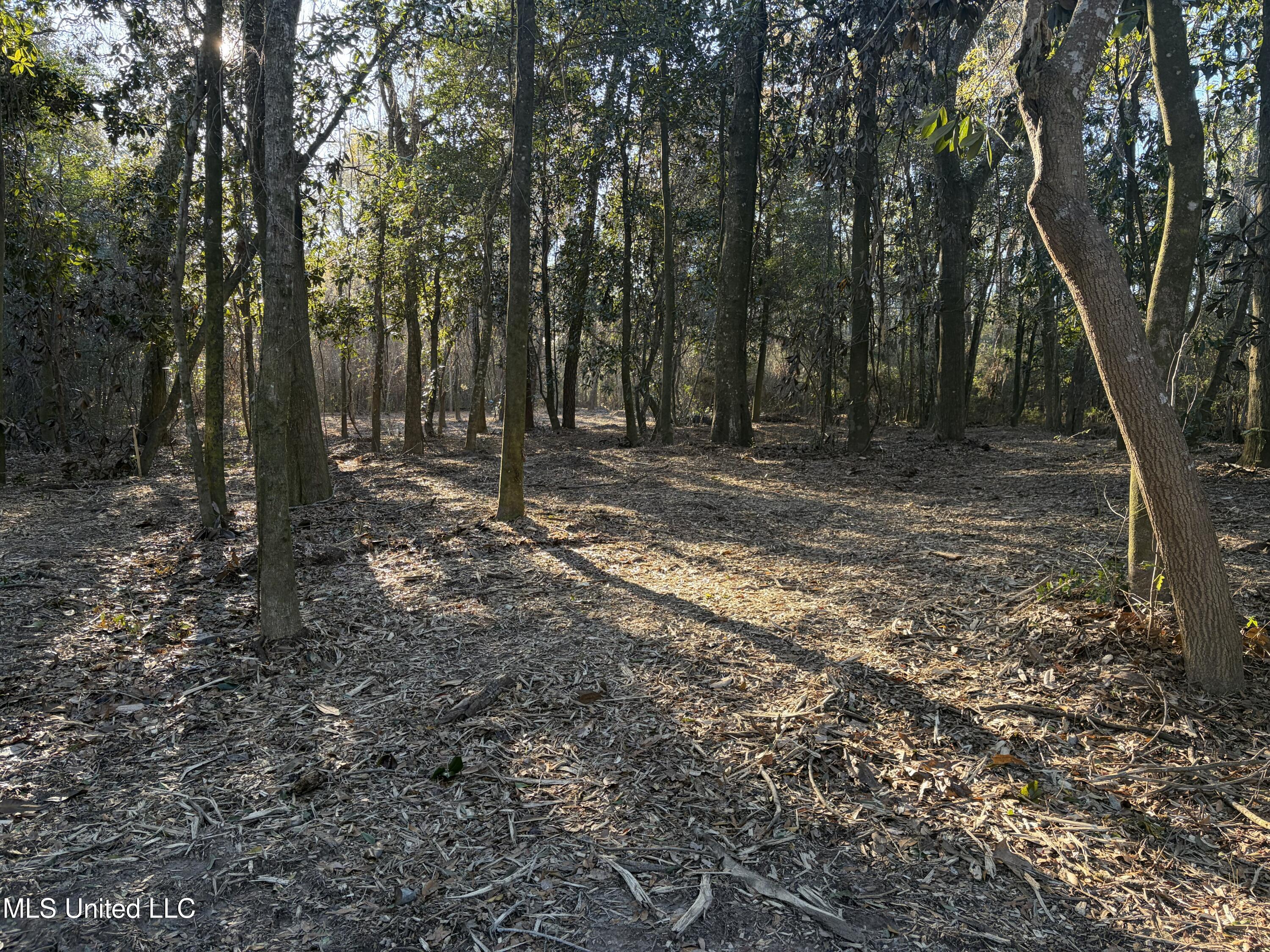 Nhn River Road Property Photo 40
