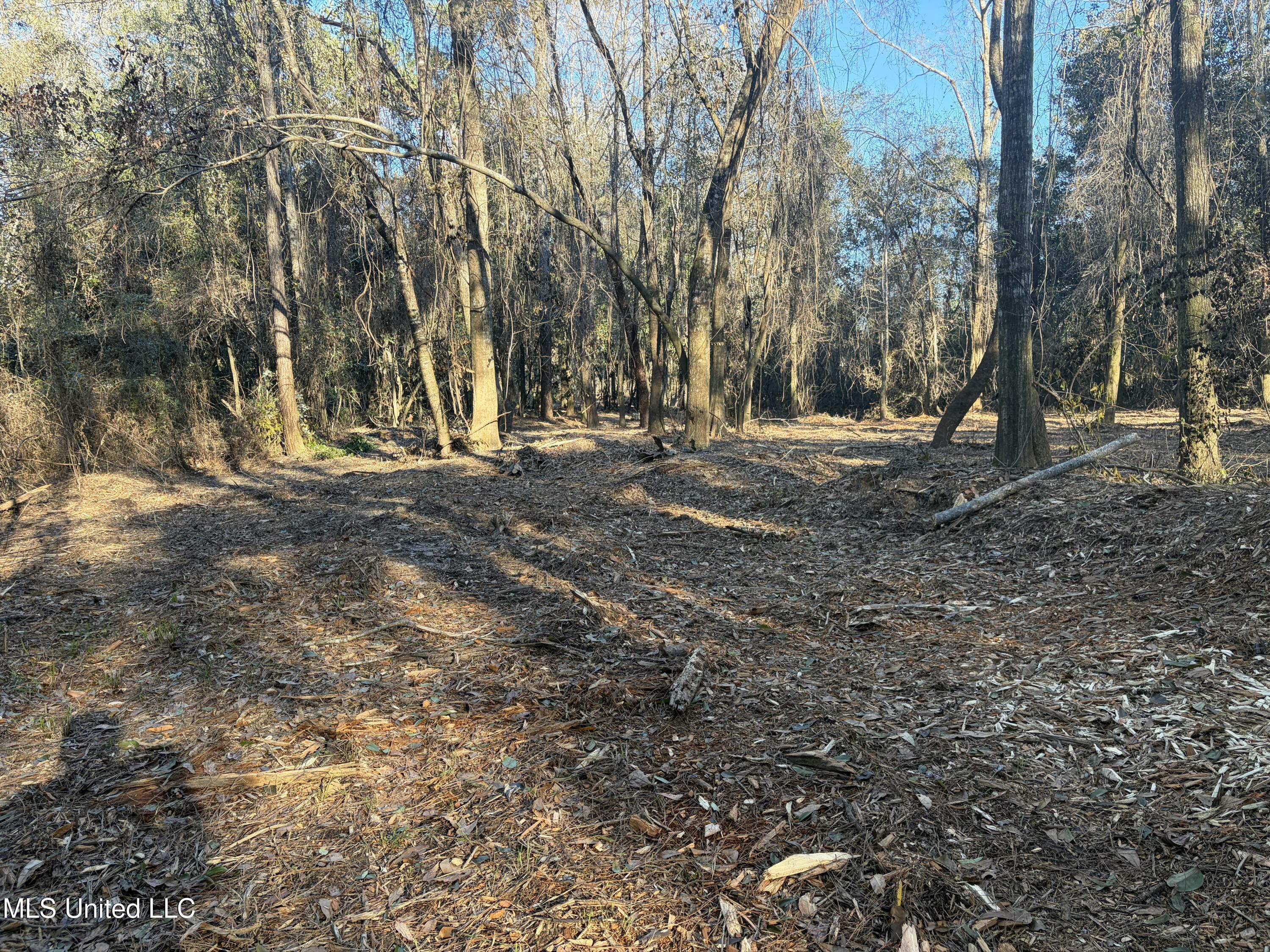 Nhn River Road Property Photo 42