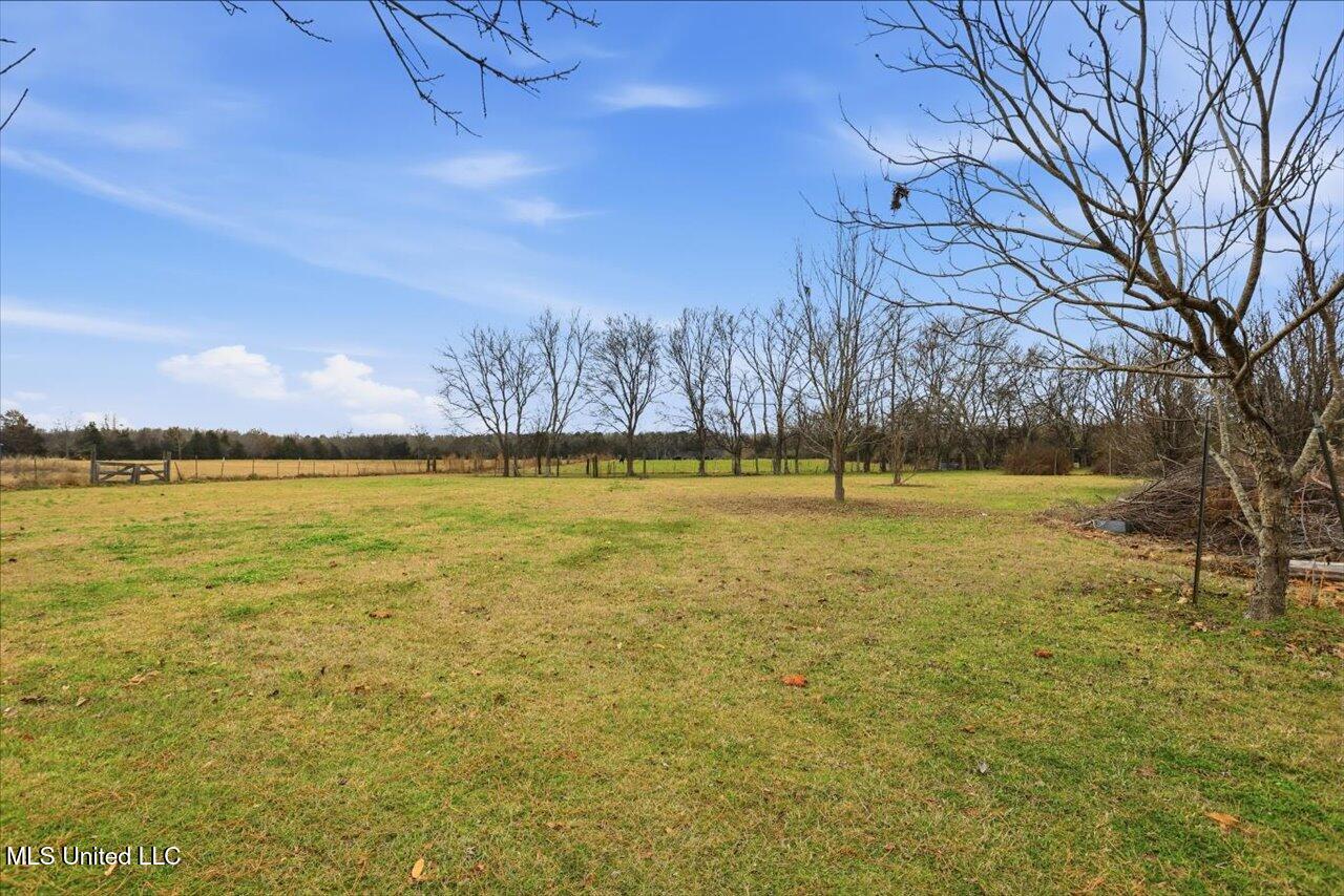 389 Moss Road Property Photo 30