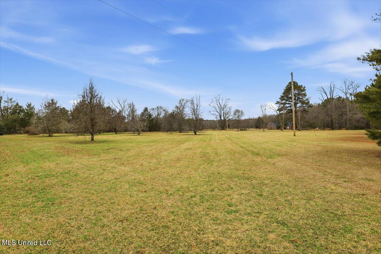 389 Moss Road Property Photo 31