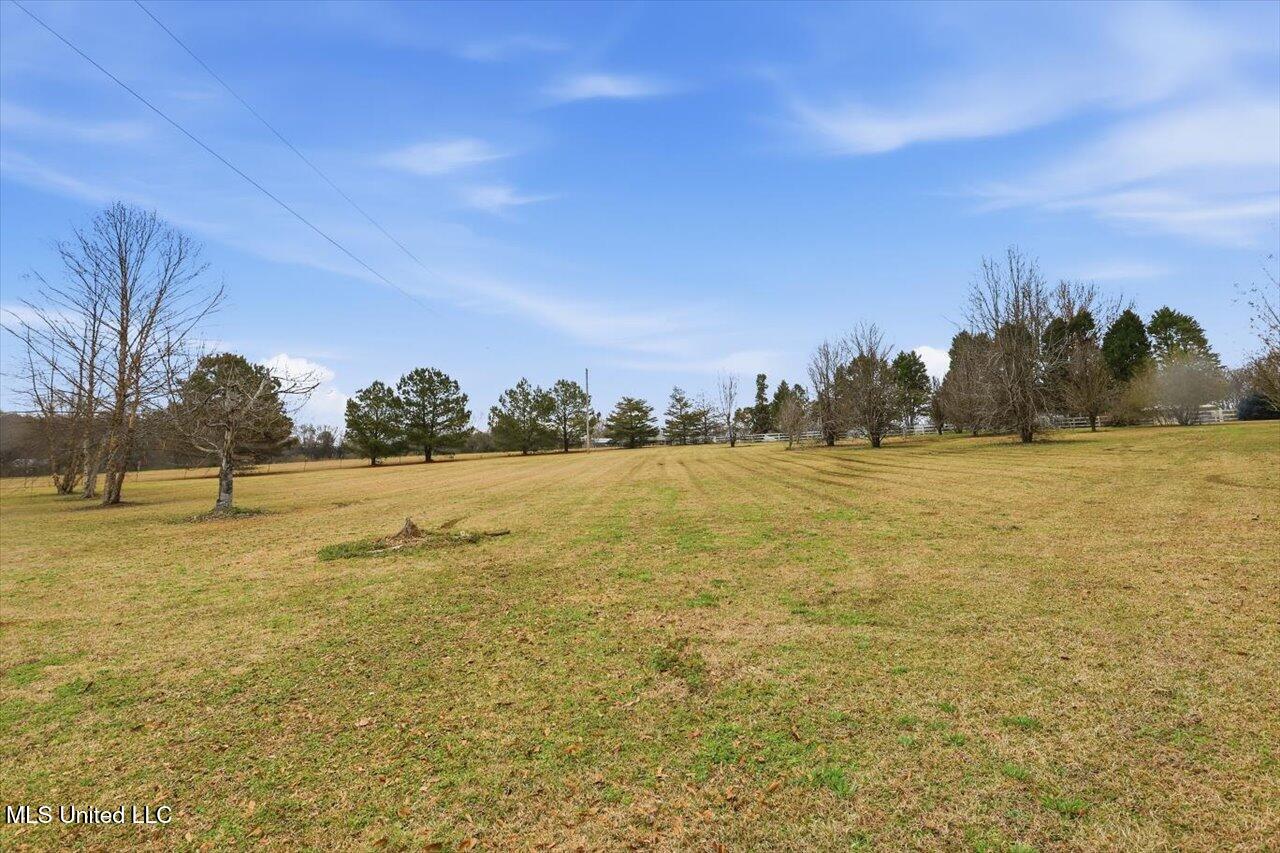 389 Moss Road Property Photo 32