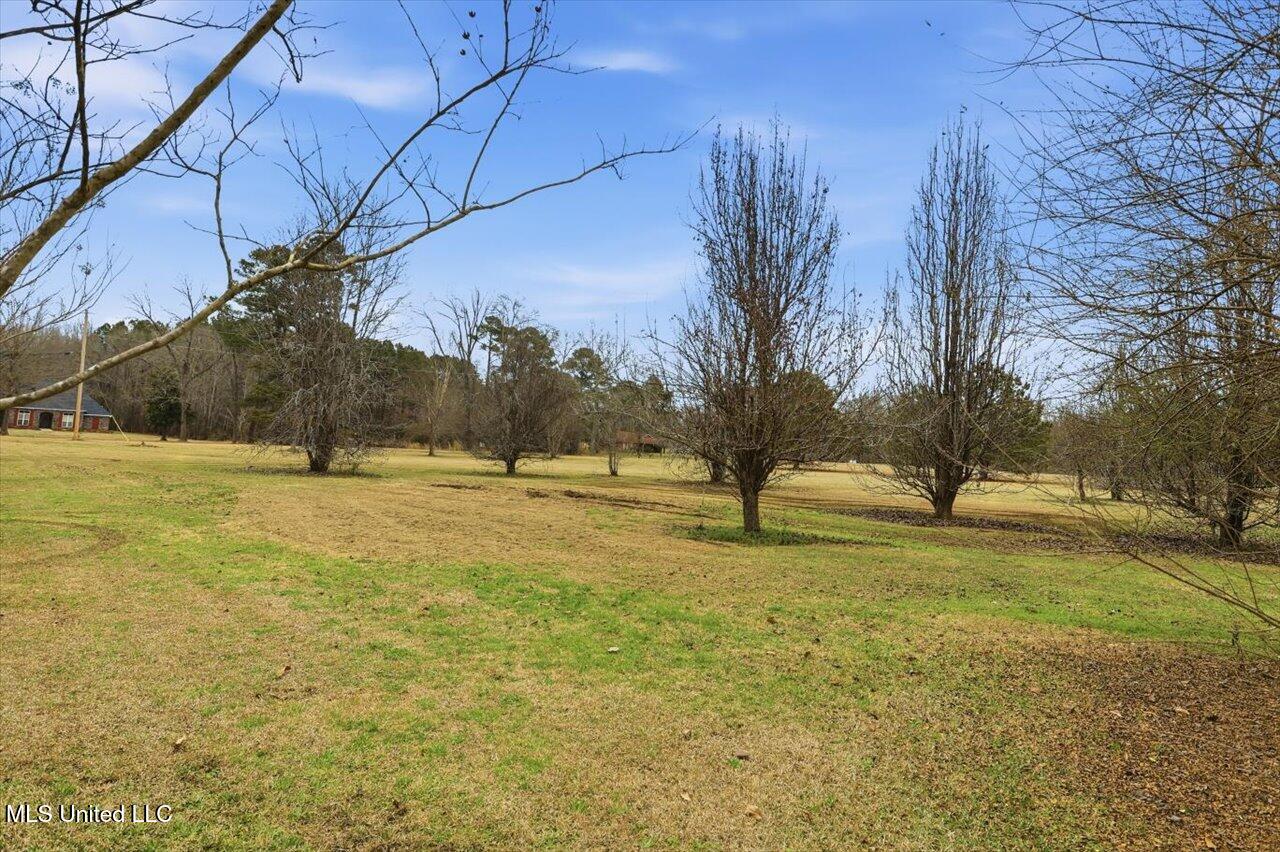 389 Moss Road Property Photo 40