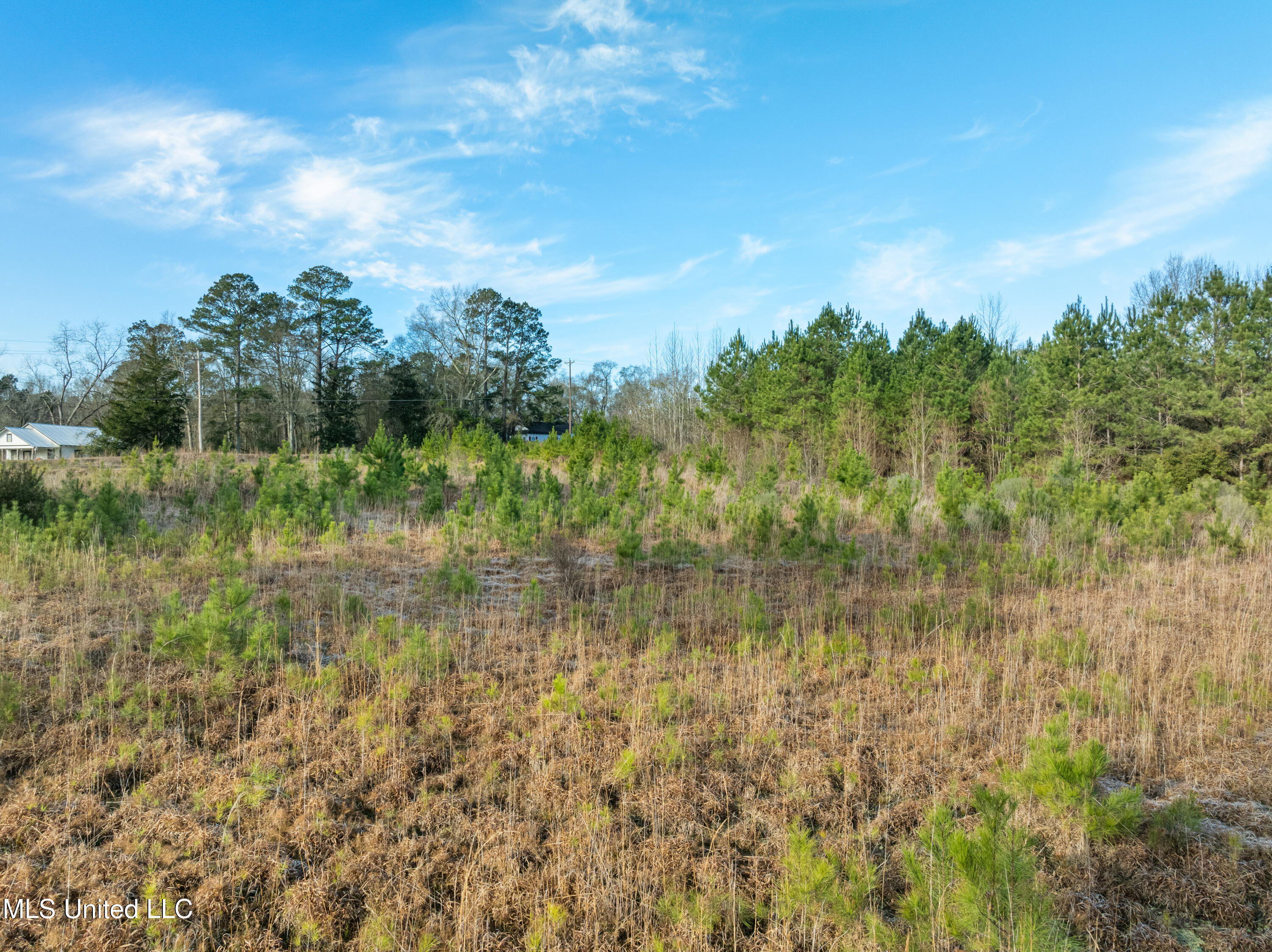 14.75 Acres Highway 11 Property Photo 6