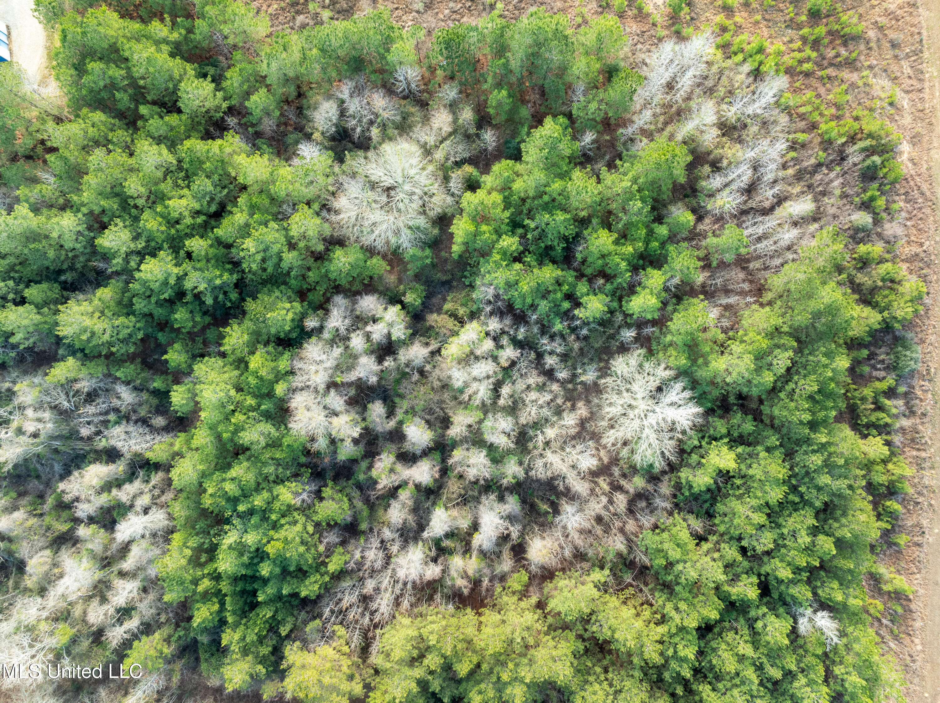 14.75 Acres Highway 11 Property Photo 8