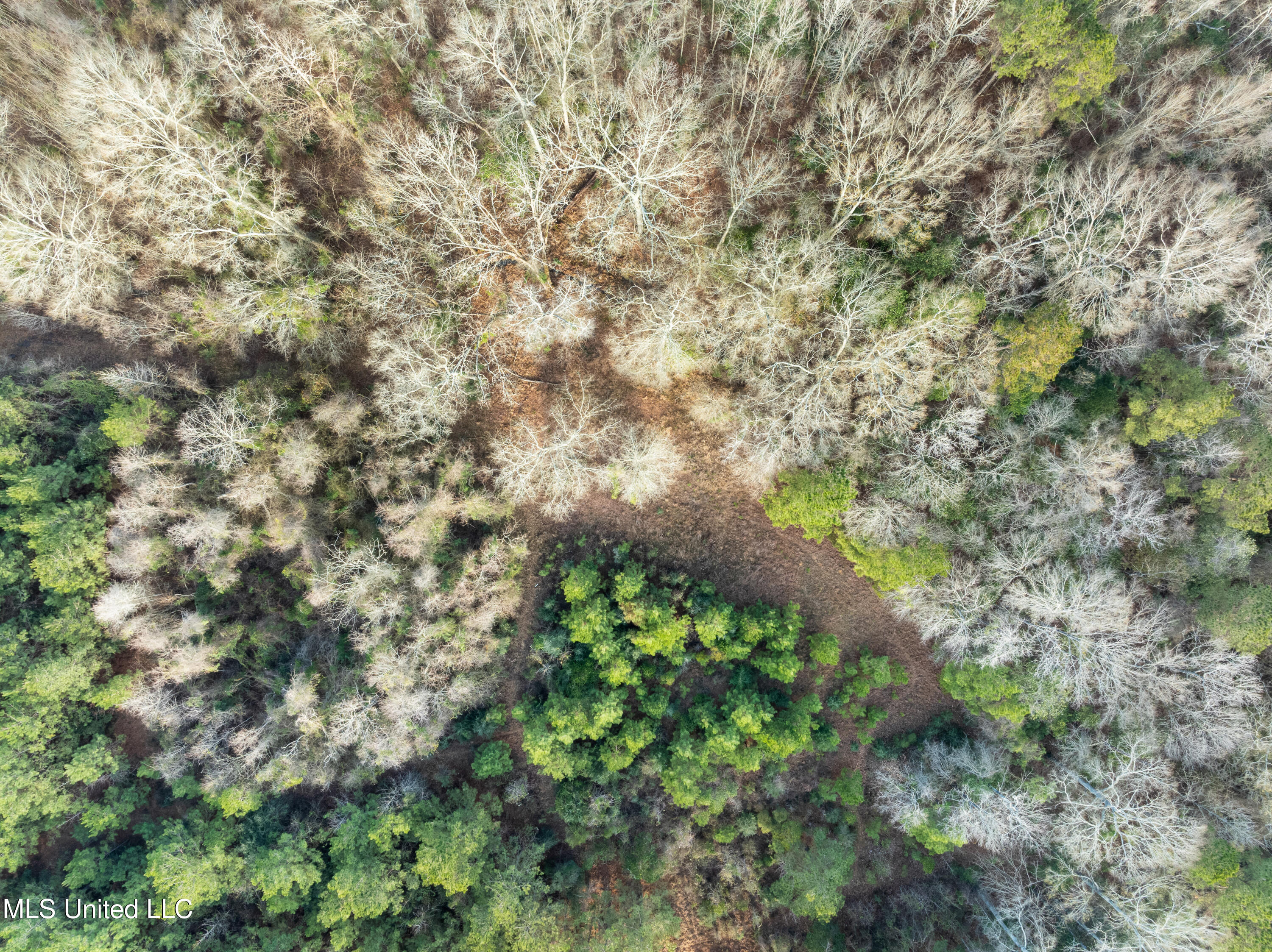 14.75 Acres Highway 11 Property Photo 10
