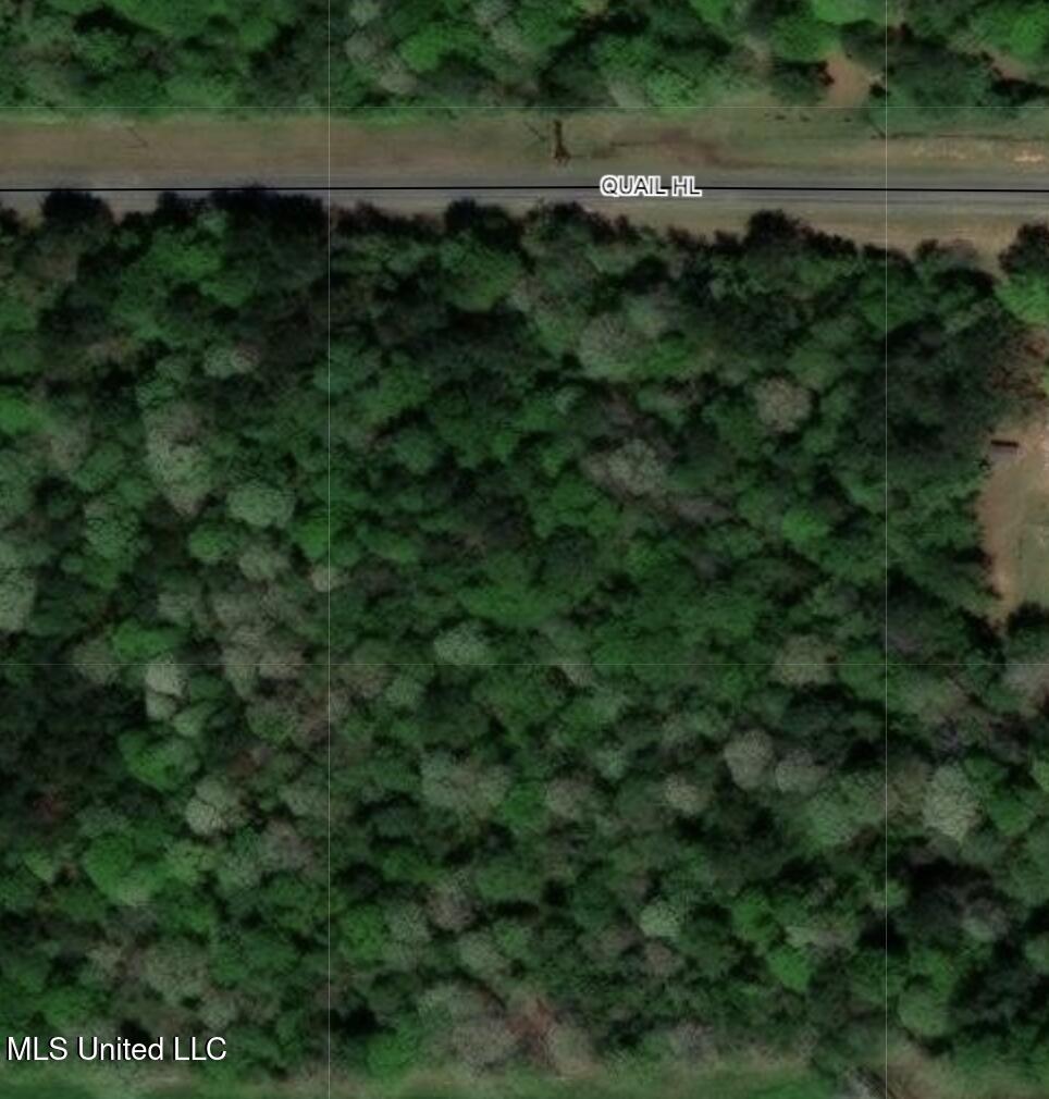 0 Quail Hill Road Property Photo 1