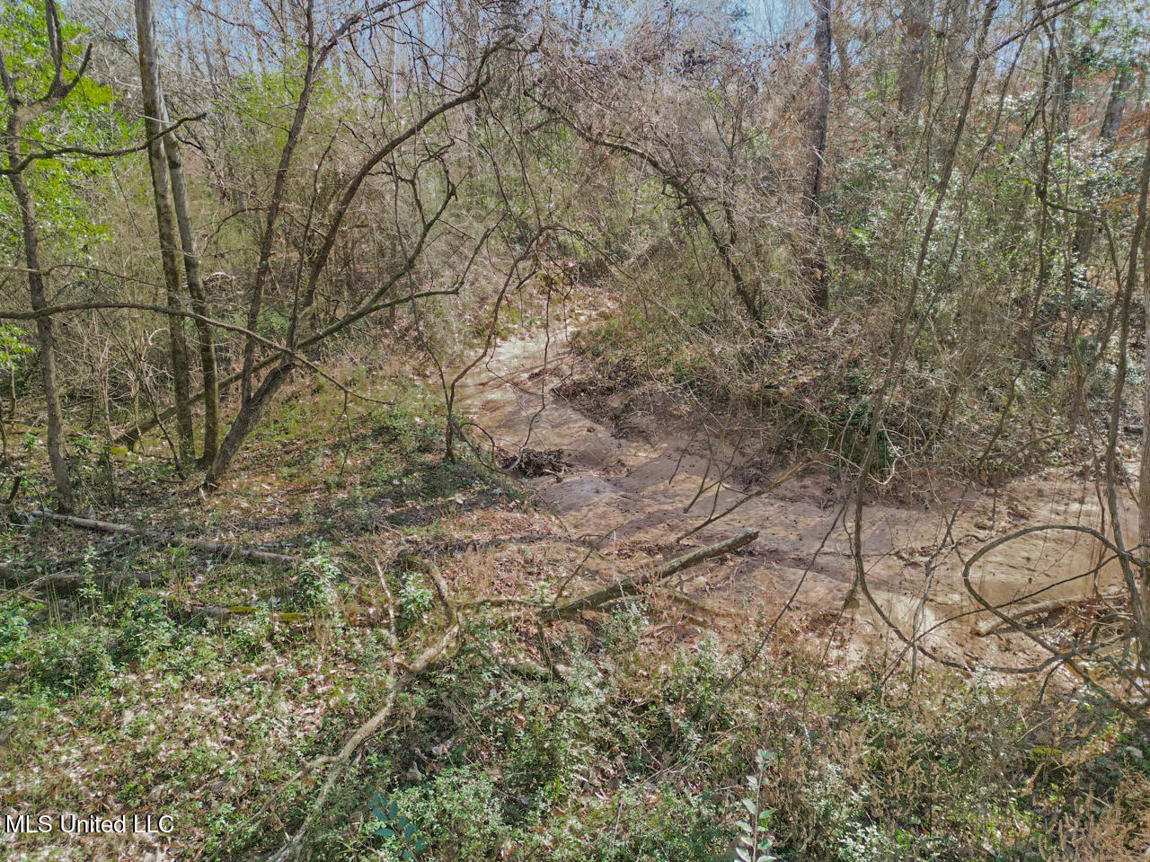 13645 Louisiana 10 Property Photo 12