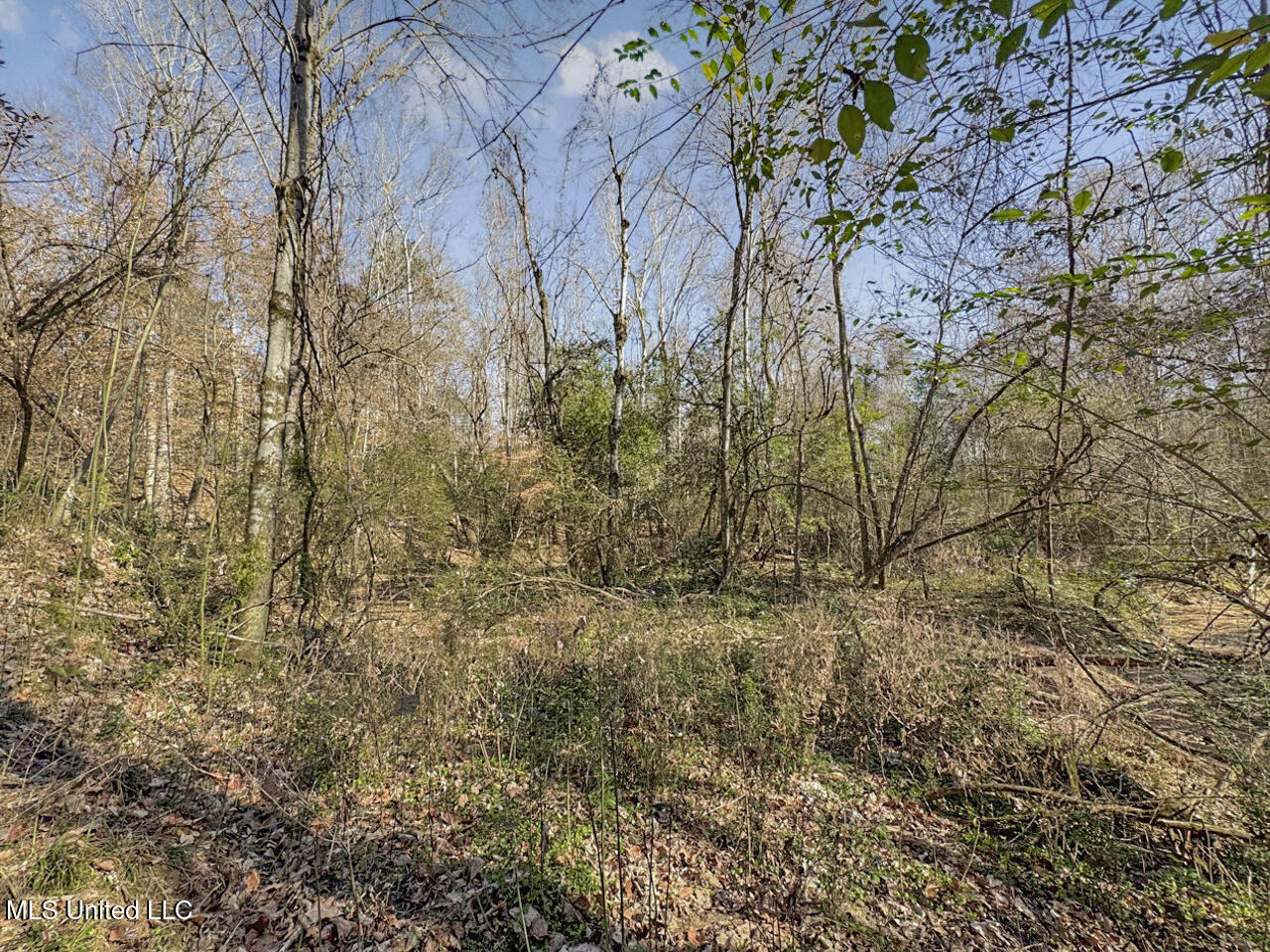 13645 Louisiana 10 Property Photo 38