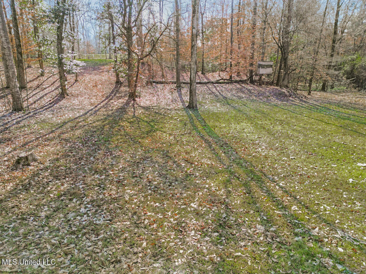 13645 Louisiana 10 Property Photo 41