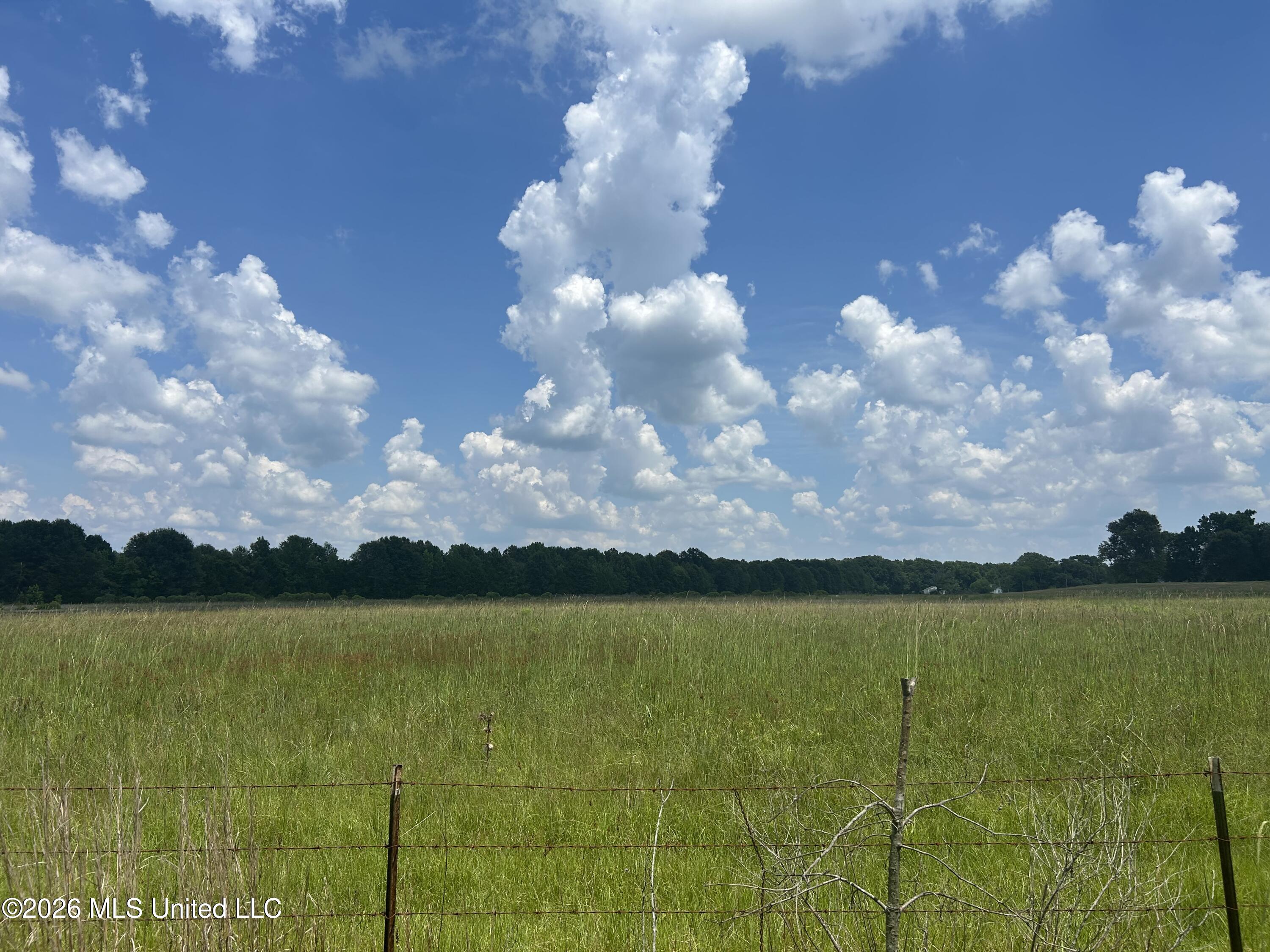 Cane Creek Road Property Photo 2