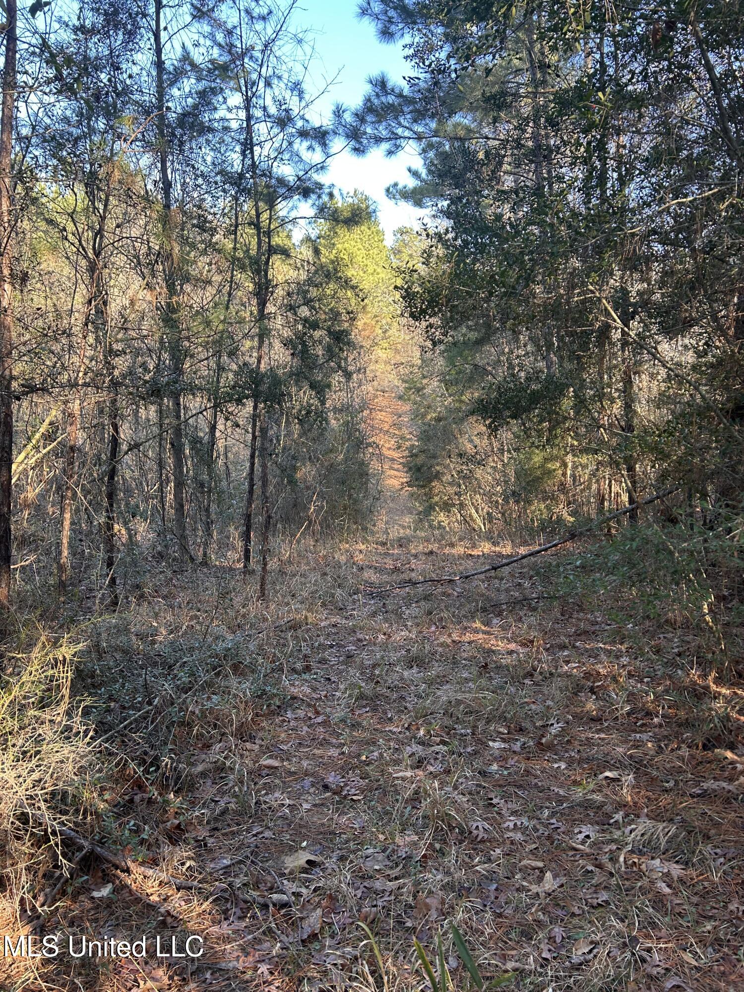 Ne Furrs Mill Drive Property Photo 8