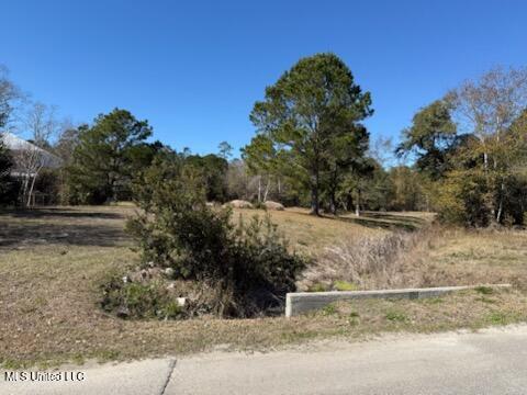 115 Dogwood Drive Property Photo 4